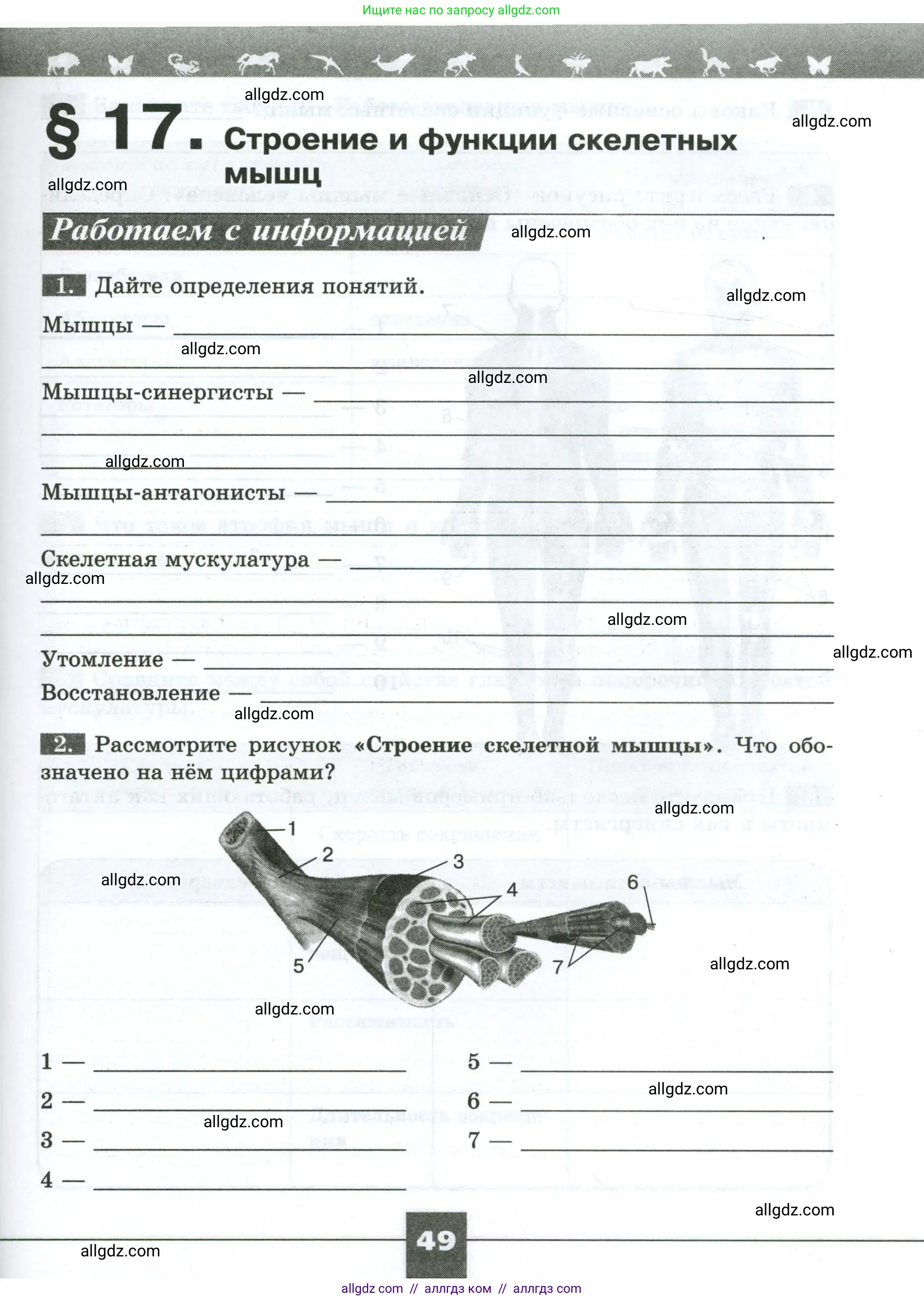 Биология, 9 класс рабочая тетрадь, авторы: Пасечник Владимир Васильевич, Швецов Глеб Геннадьевич, издательство Просвещение, Москва, 2023, розового цвета, страница 49