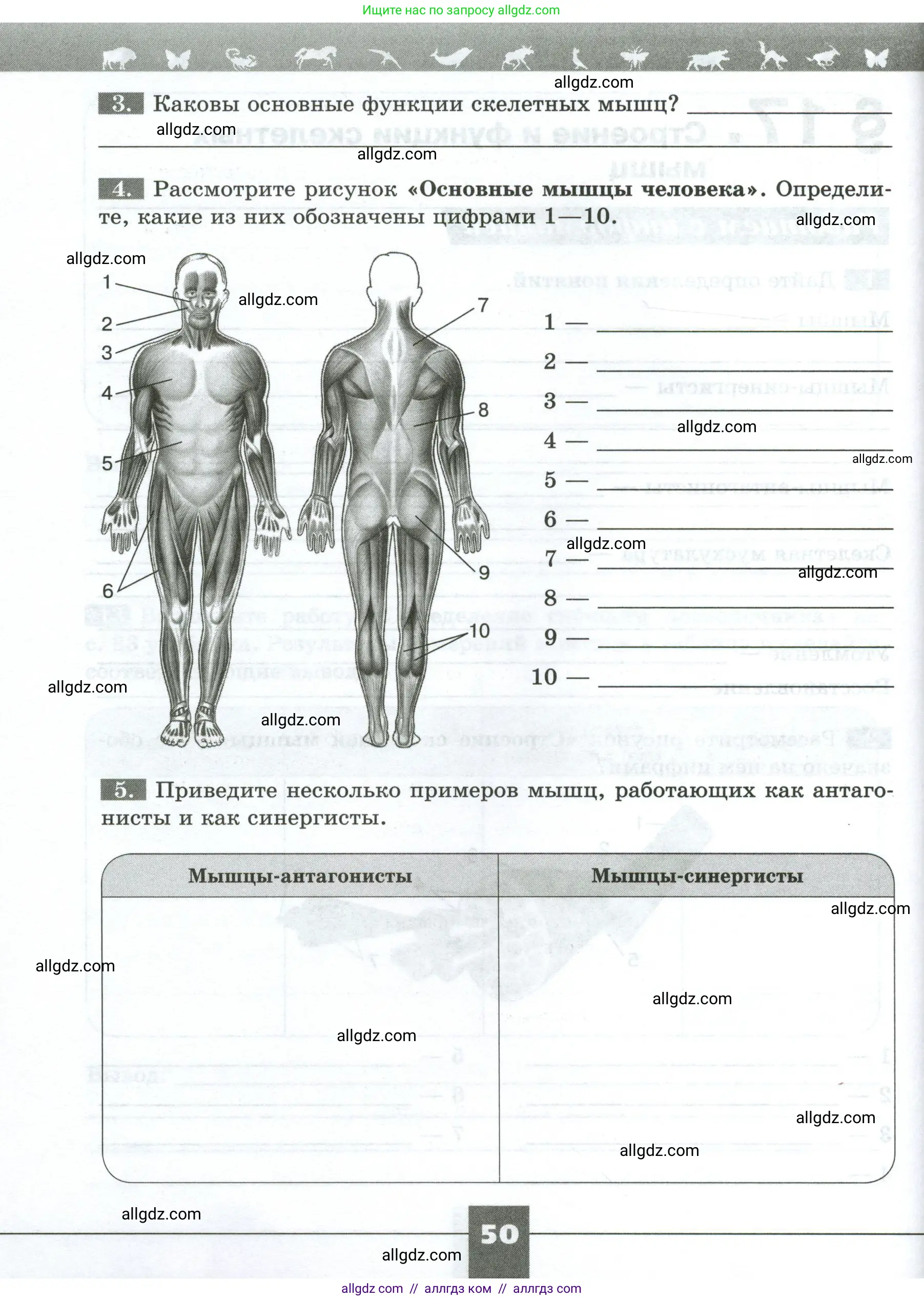 Биология, 9 класс рабочая тетрадь, авторы: Пасечник Владимир Васильевич, Швецов Глеб Геннадьевич, издательство Просвещение, Москва, 2023, розового цвета, страница 50