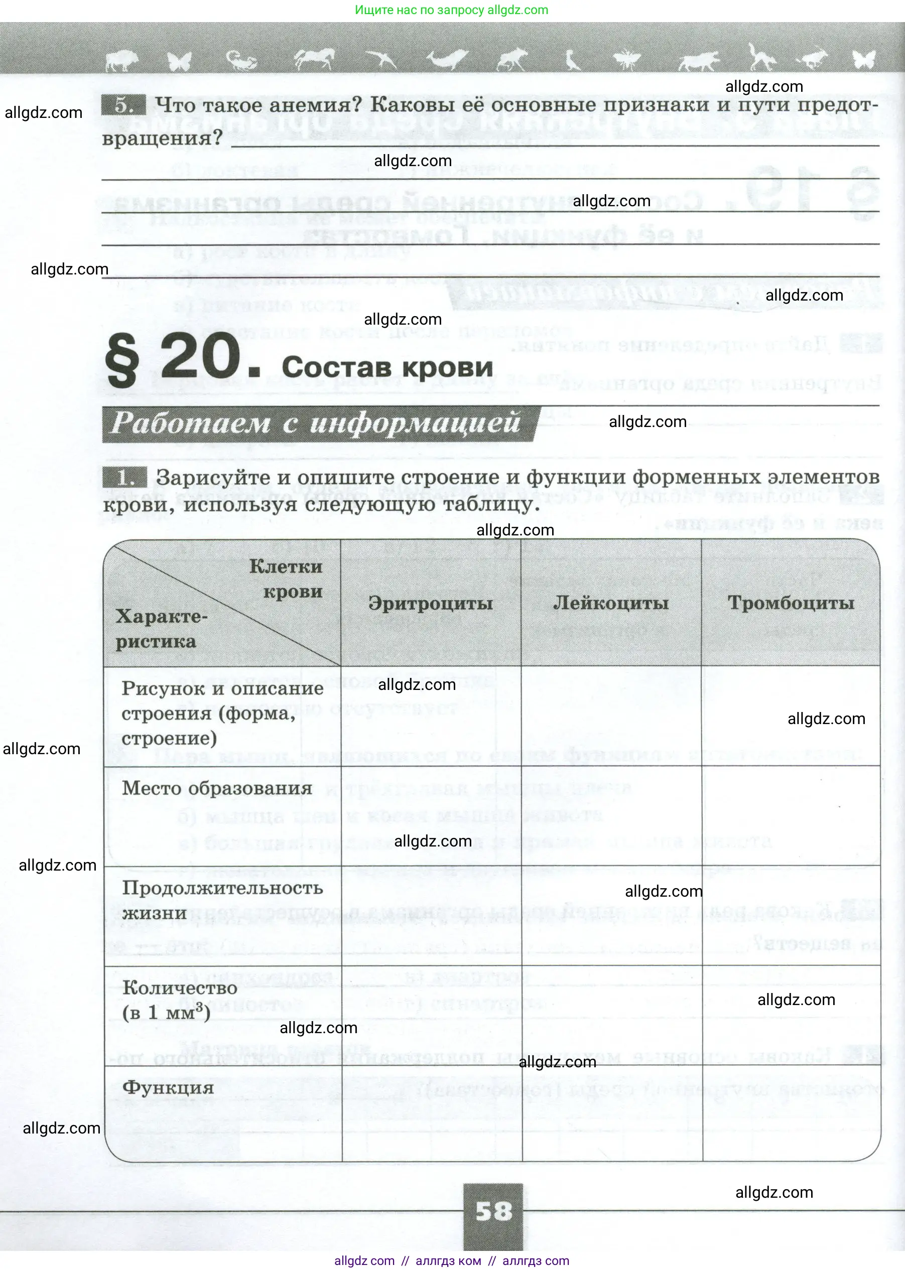 Биология, 9 класс рабочая тетрадь, авторы: Пасечник Владимир Васильевич, Швецов Глеб Геннадьевич, издательство Просвещение, Москва, 2023, розового цвета, страница 58