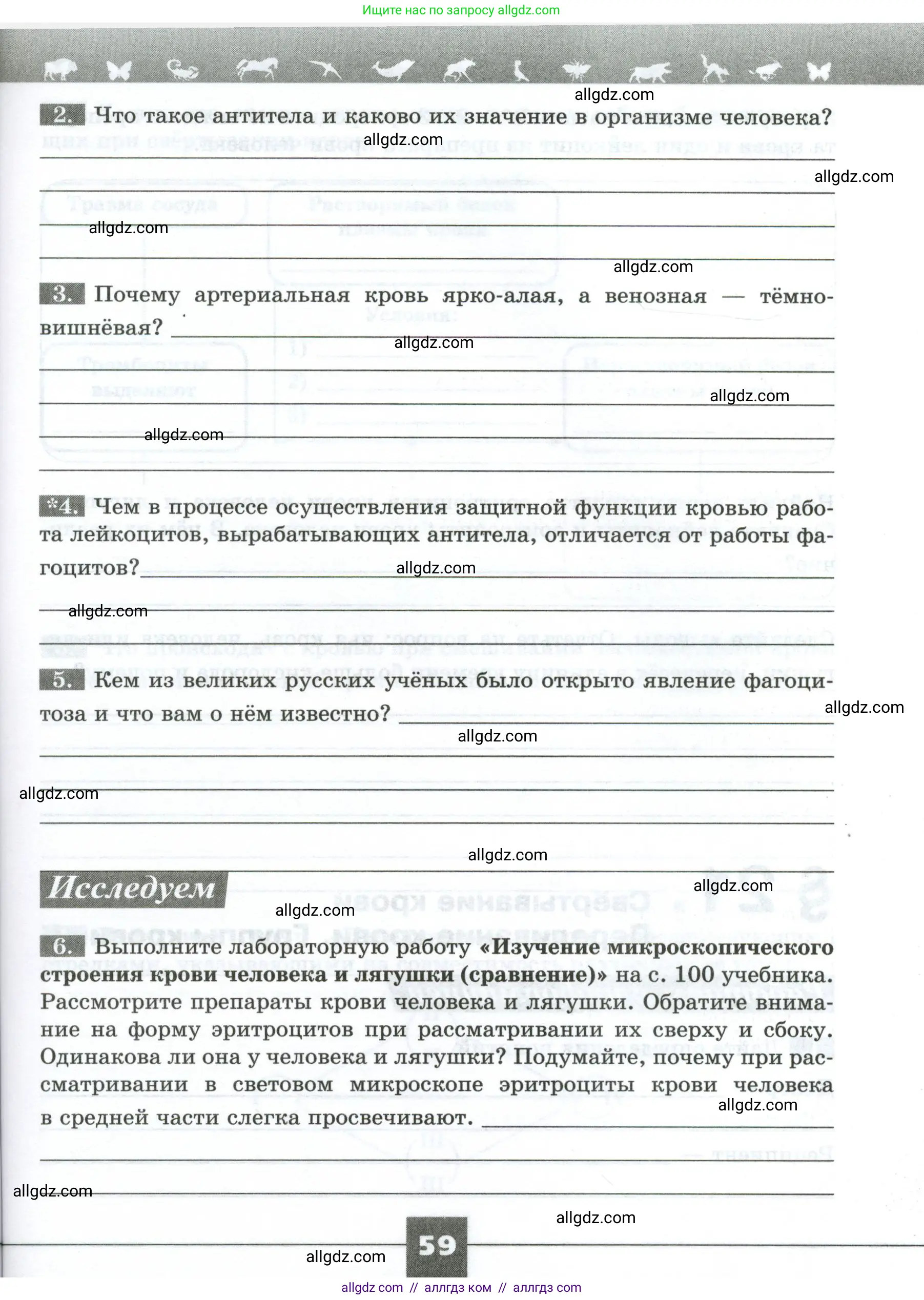Биология, 9 класс рабочая тетрадь, авторы: Пасечник Владимир Васильевич, Швецов Глеб Геннадьевич, издательство Просвещение, Москва, 2023, розового цвета, страница 59