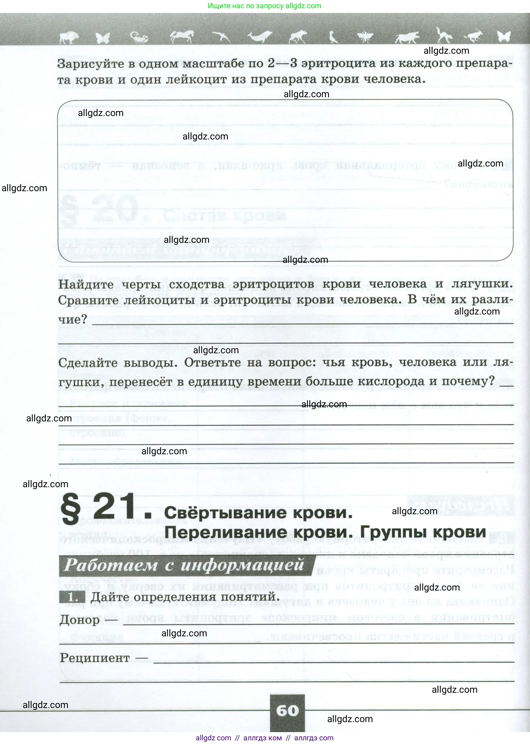 Биология, 9 класс рабочая тетрадь, авторы: Пасечник Владимир Васильевич, Швецов Глеб Геннадьевич, издательство Просвещение, Москва, 2023, розового цвета, страница 60