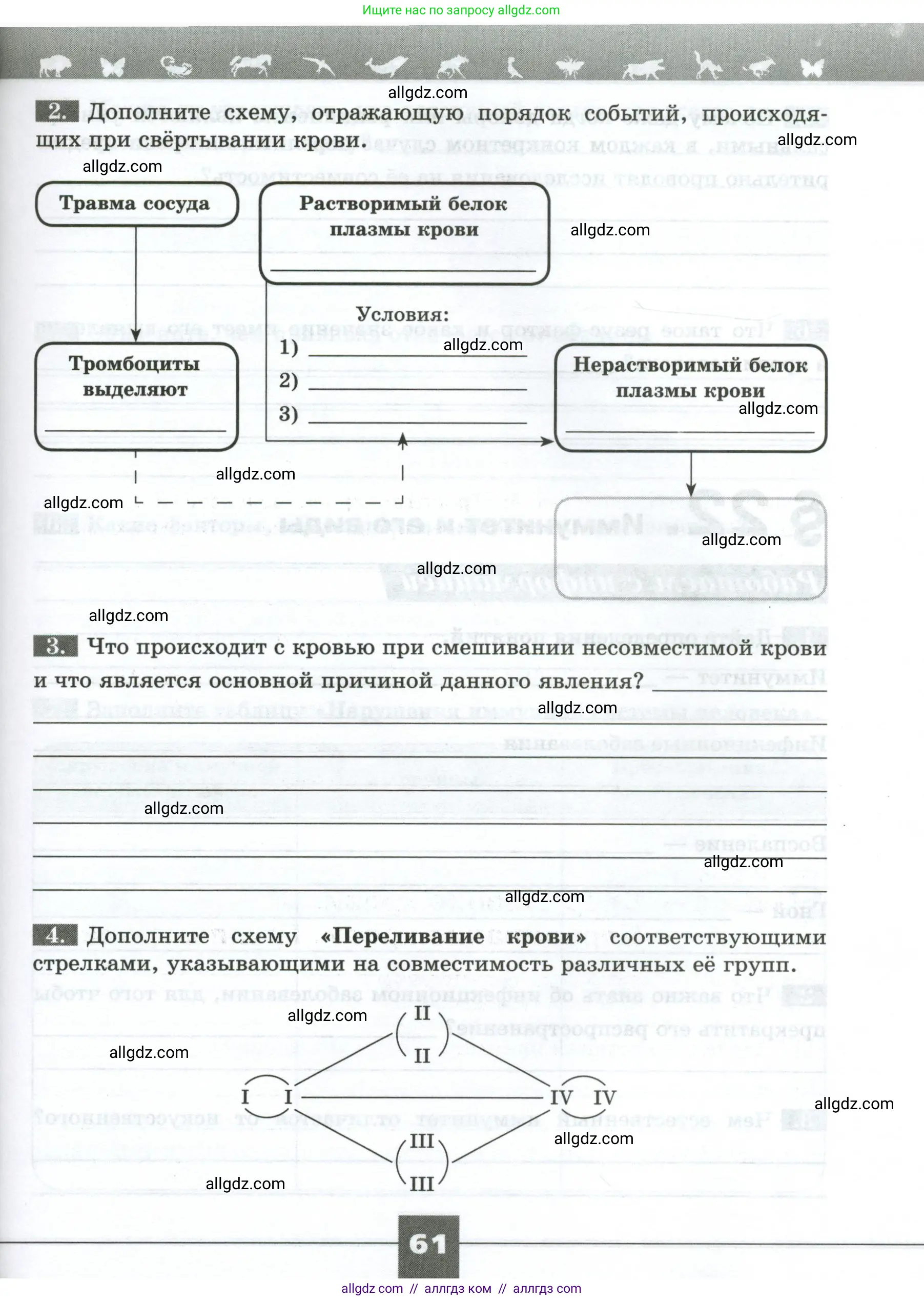 Биология, 9 класс рабочая тетрадь, авторы: Пасечник Владимир Васильевич, Швецов Глеб Геннадьевич, издательство Просвещение, Москва, 2023, розового цвета, страница 61