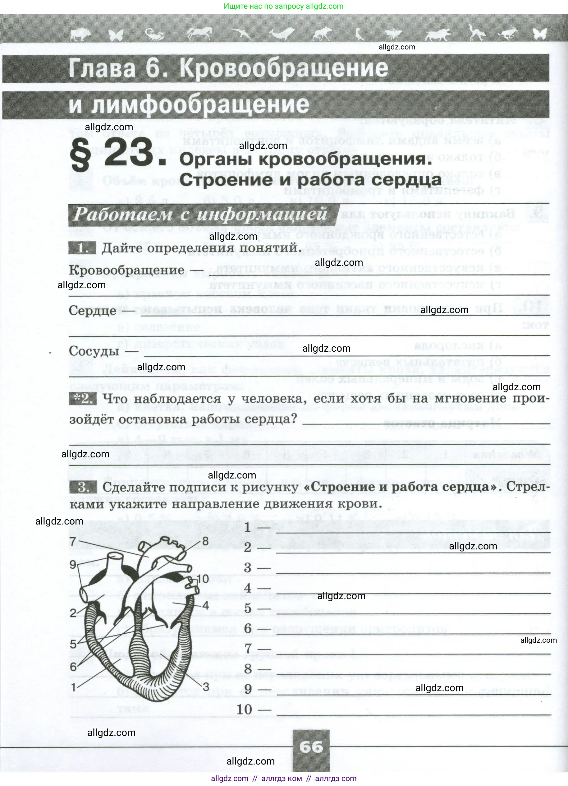 Биология, 9 класс рабочая тетрадь, авторы: Пасечник Владимир Васильевич, Швецов Глеб Геннадьевич, издательство Просвещение, Москва, 2023, розового цвета, страница 66