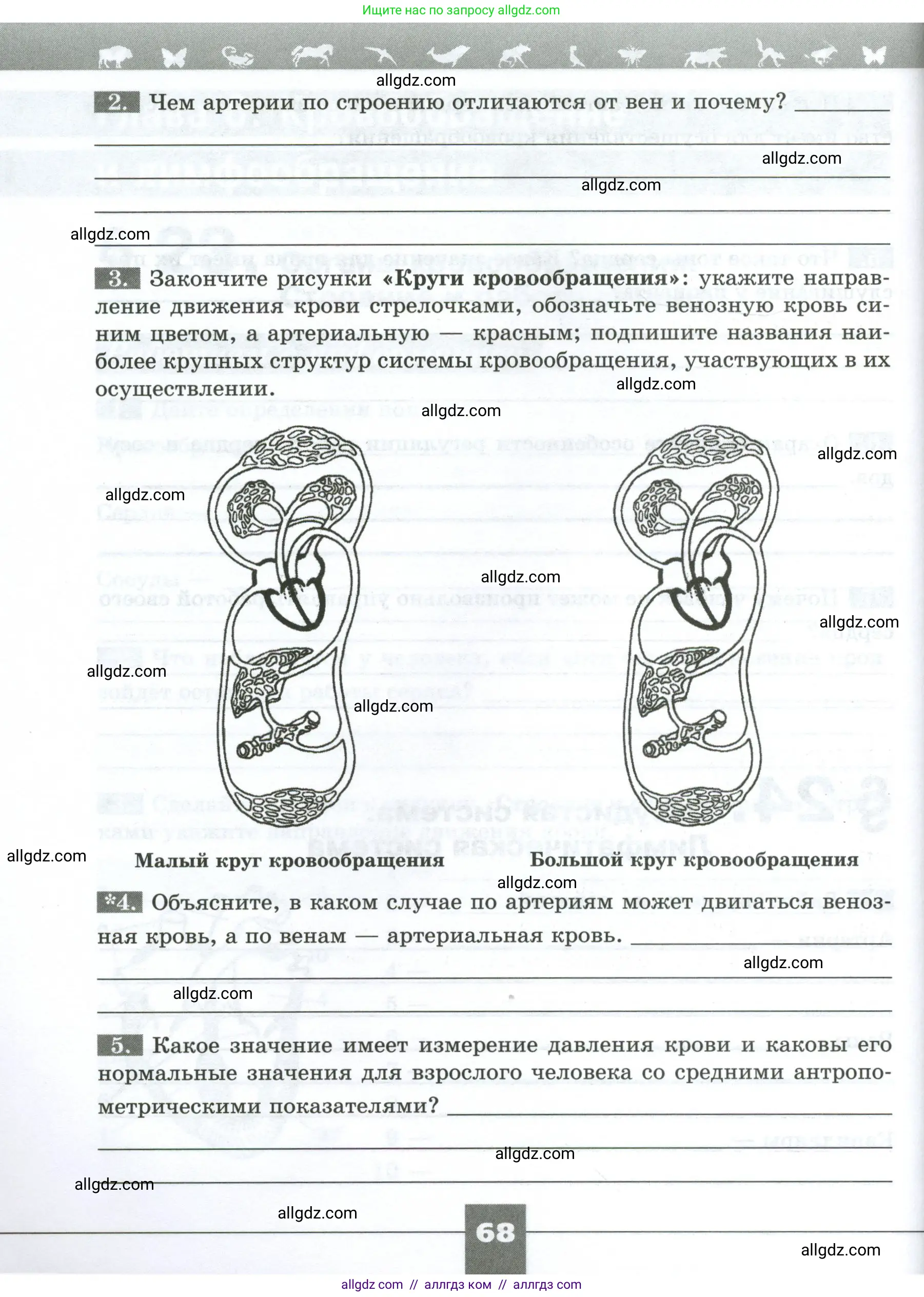 Биология, 9 класс рабочая тетрадь, авторы: Пасечник Владимир Васильевич, Швецов Глеб Геннадьевич, издательство Просвещение, Москва, 2023, розового цвета, страница 68