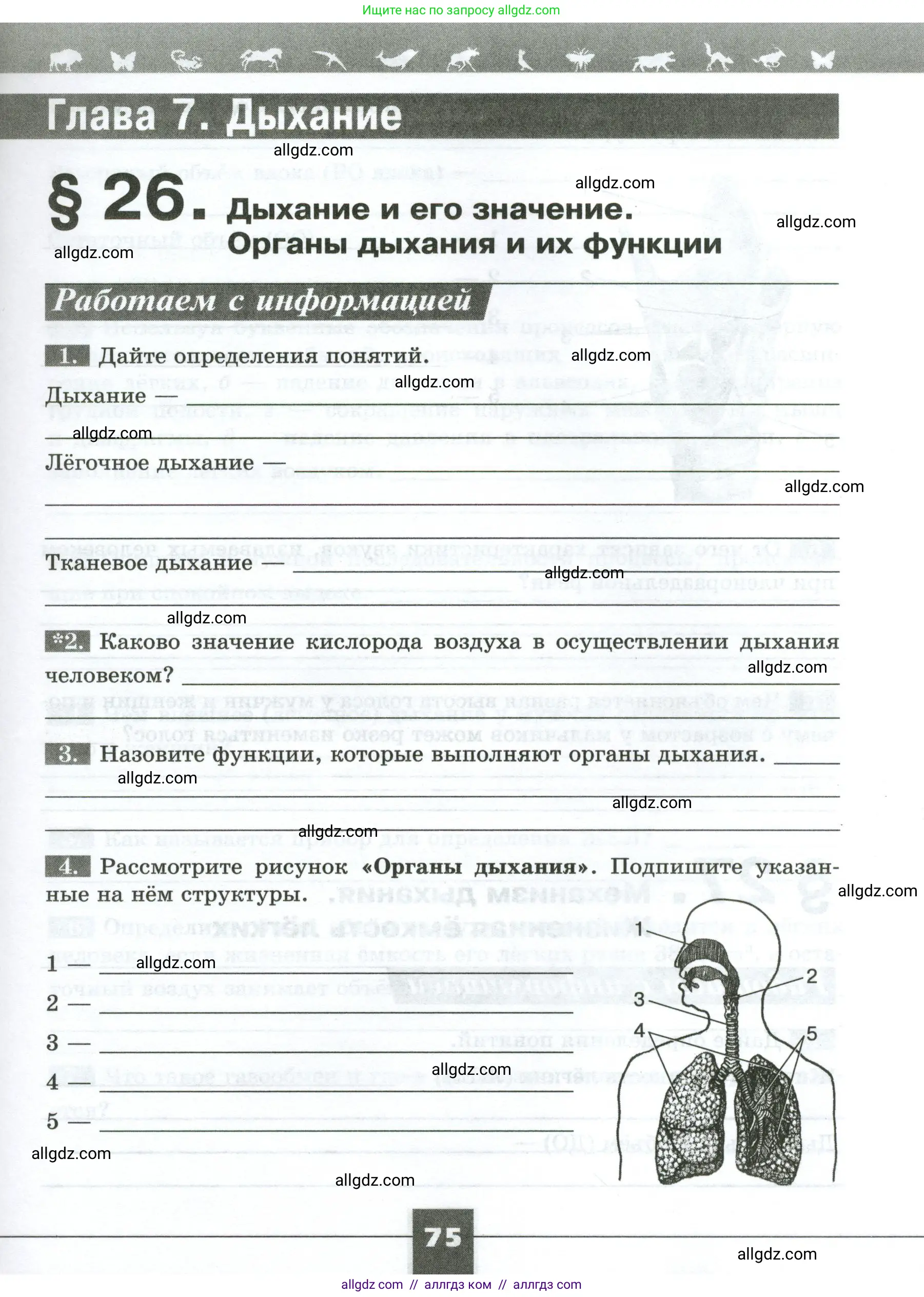 Биология, 9 класс рабочая тетрадь, авторы: Пасечник Владимир Васильевич, Швецов Глеб Геннадьевич, издательство Просвещение, Москва, 2023, розового цвета, страница 75