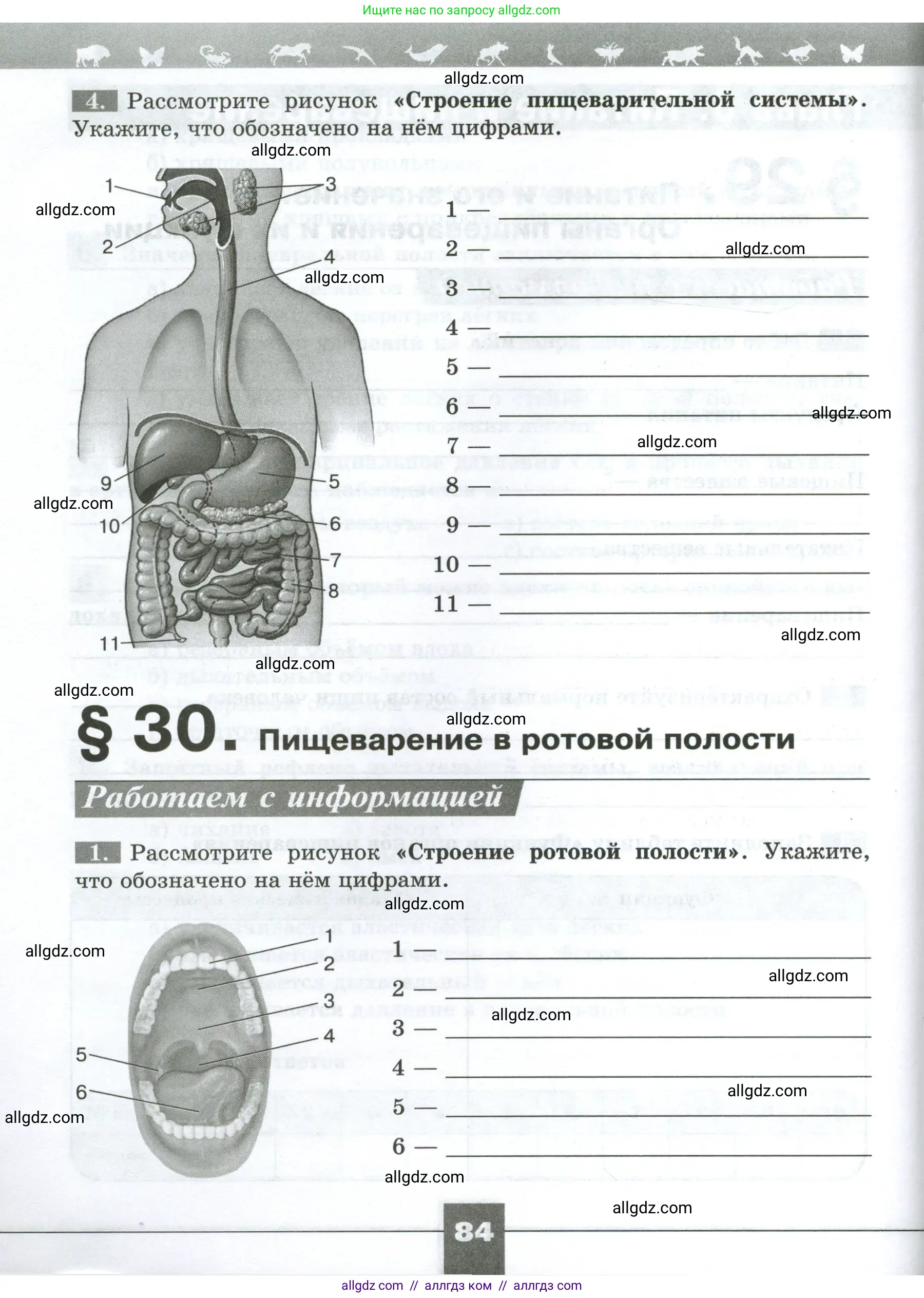 Биология, 9 класс рабочая тетрадь, авторы: Пасечник Владимир Васильевич, Швецов Глеб Геннадьевич, издательство Просвещение, Москва, 2023, розового цвета, страница 84