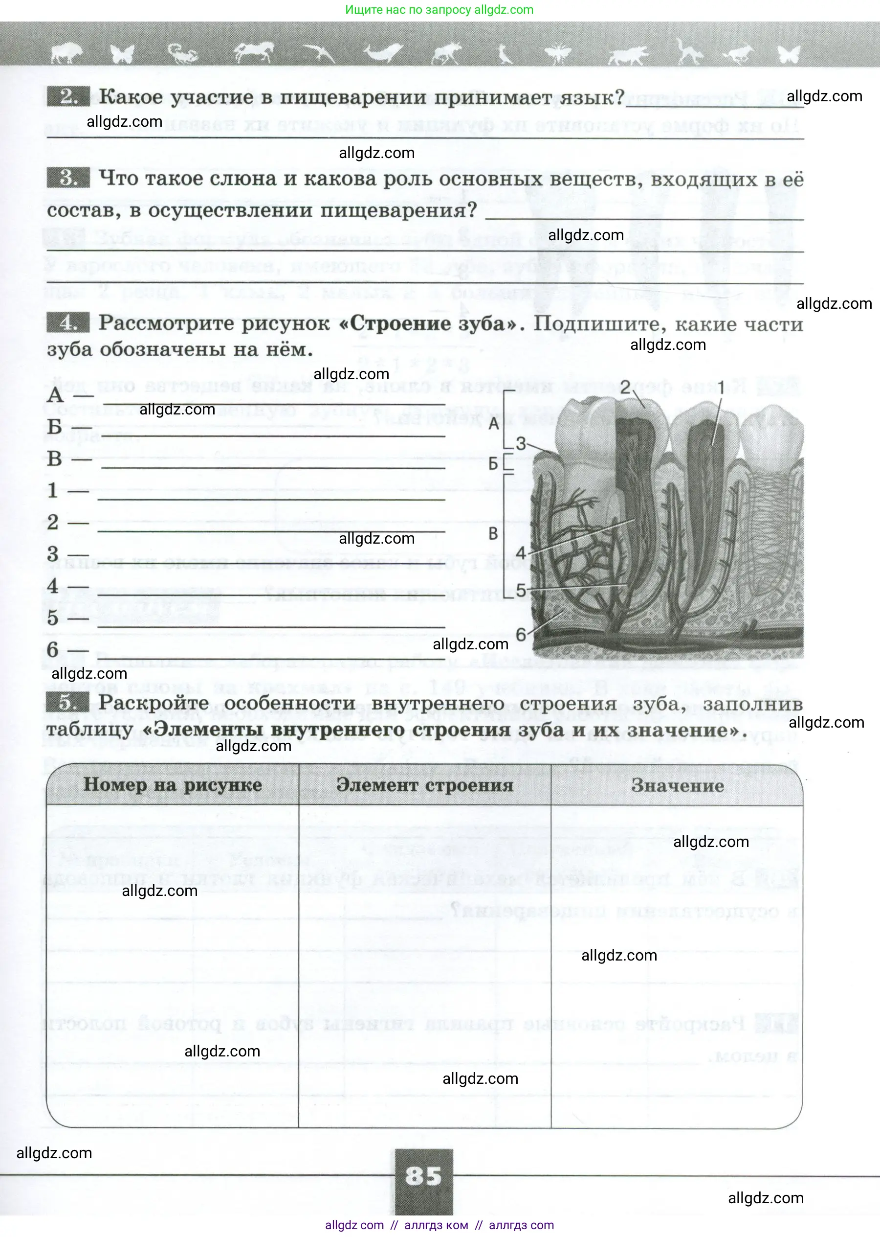 Биология, 9 класс рабочая тетрадь, авторы: Пасечник Владимир Васильевич, Швецов Глеб Геннадьевич, издательство Просвещение, Москва, 2023, розового цвета, страница 85