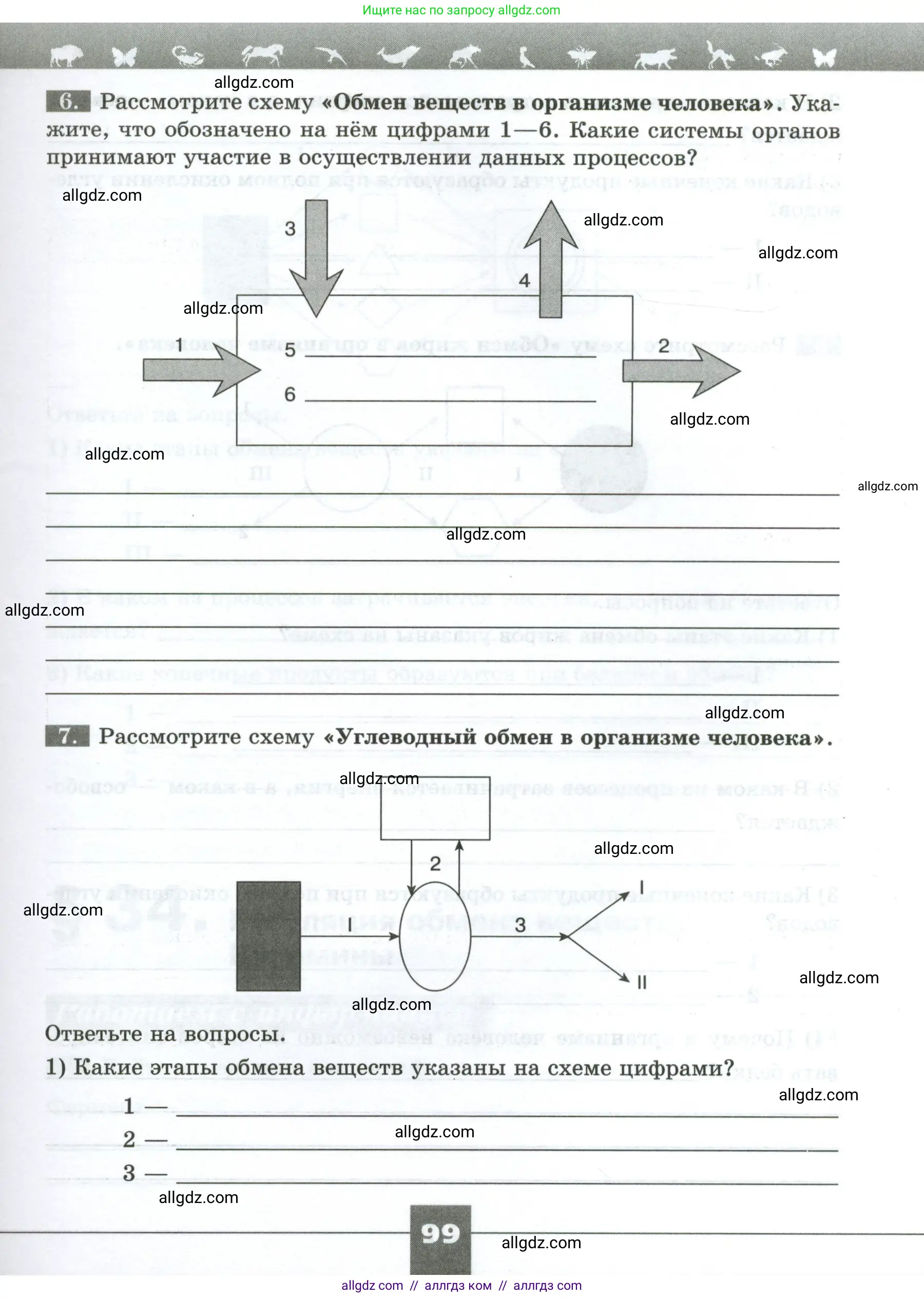 Биология, 9 класс рабочая тетрадь, авторы: Пасечник Владимир Васильевич, Швецов Глеб Геннадьевич, издательство Просвещение, Москва, 2023, розового цвета, страница 99