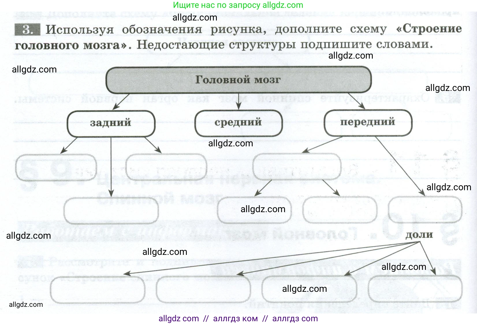 Биология, 9 класс рабочая тетрадь, авторы: Пасечник Владимир Васильевич, Швецов Глеб Геннадьевич, издательство Просвещение, Москва, 2023, розового цвета, страница 30, номер 3, Условие
