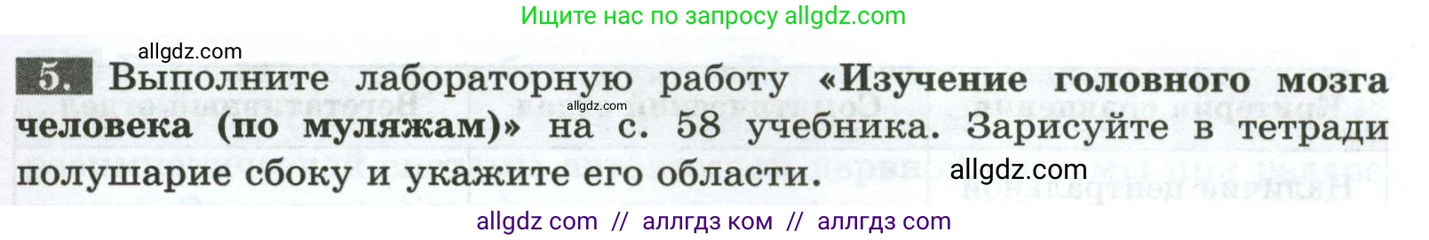 Биология, 9 класс рабочая тетрадь, авторы: Пасечник Владимир Васильевич, Швецов Глеб Геннадьевич, издательство Просвещение, Москва, 2023, розового цвета, страница 31, номер 5, Условие