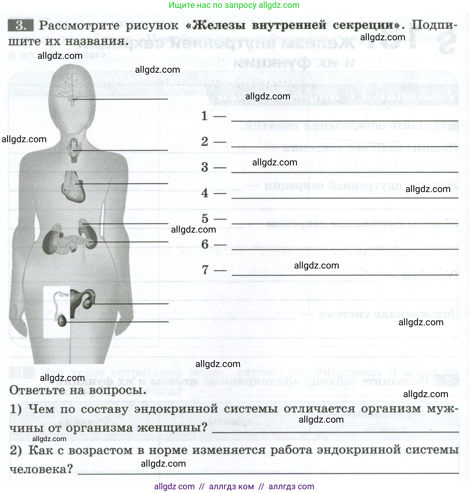 Биология, 9 класс рабочая тетрадь, авторы: Пасечник Владимир Васильевич, Швецов Глеб Геннадьевич, издательство Просвещение, Москва, 2023, розового цвета, страница 36, номер 3, Условие