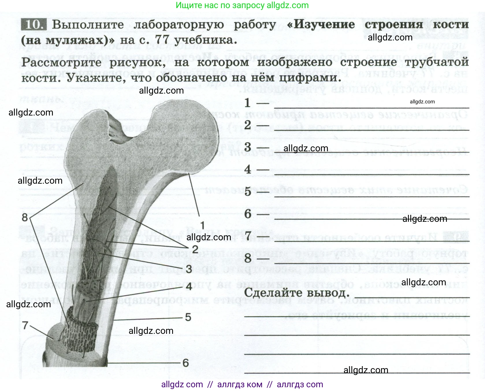 Биология, 9 класс рабочая тетрадь, авторы: Пасечник Владимир Васильевич, Швецов Глеб Геннадьевич, издательство Просвещение, Москва, 2023, розового цвета, страница 44, номер 10, Условие