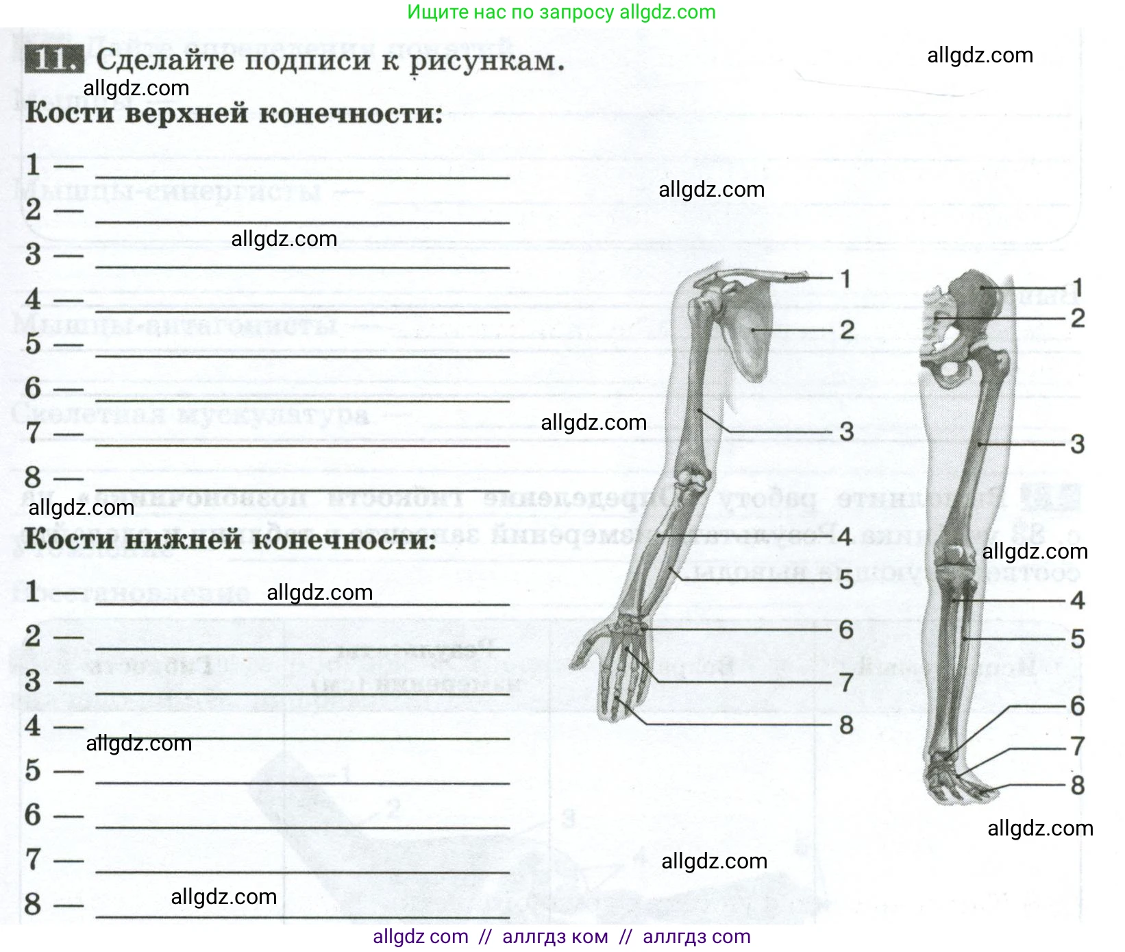 Биология, 9 класс рабочая тетрадь, авторы: Пасечник Владимир Васильевич, Швецов Глеб Геннадьевич, издательство Просвещение, Москва, 2023, розового цвета, страница 47, номер 11, Условие