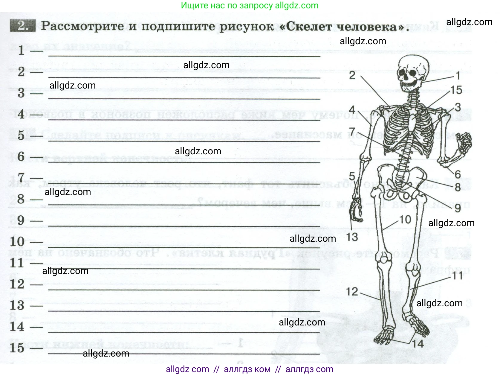 Биология, 9 класс рабочая тетрадь, авторы: Пасечник Владимир Васильевич, Швецов Глеб Геннадьевич, издательство Просвещение, Москва, 2023, розового цвета, страница 45, номер 2, Условие