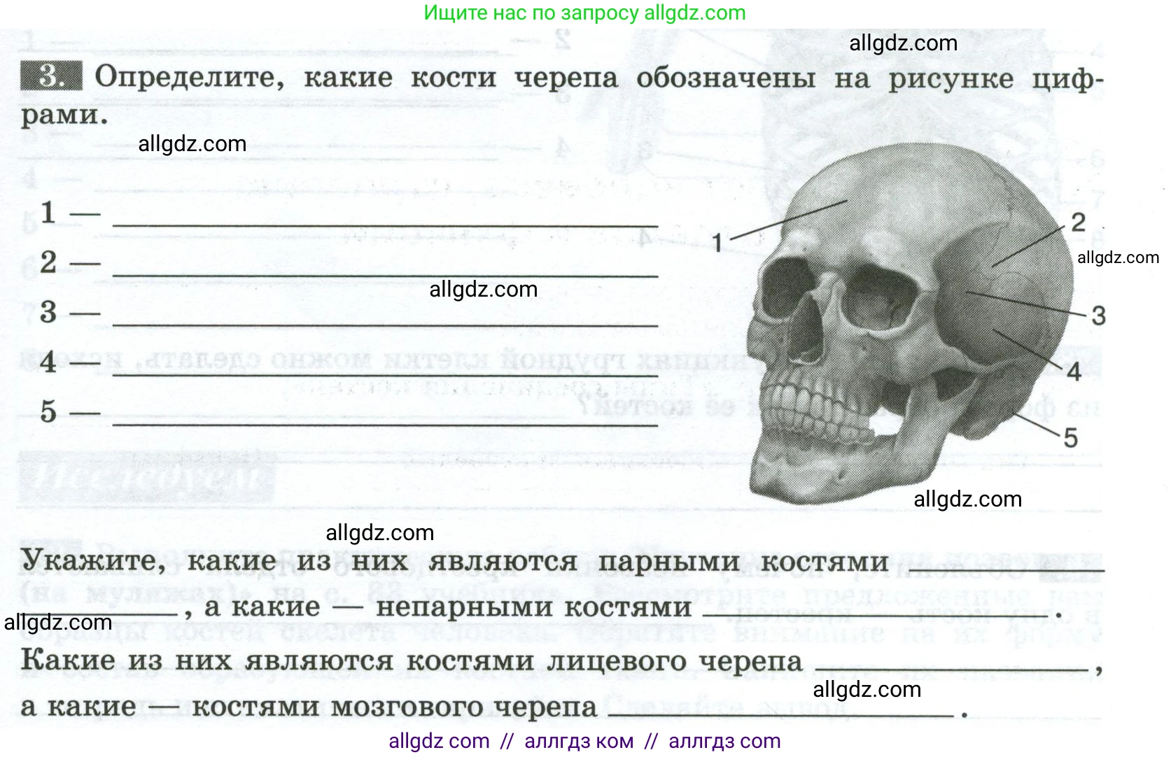 Биология, 9 класс рабочая тетрадь, авторы: Пасечник Владимир Васильевич, Швецов Глеб Геннадьевич, издательство Просвещение, Москва, 2023, розового цвета, страница 45, номер 3, Условие