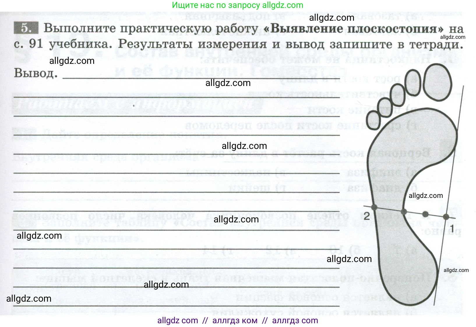 Биология, 9 класс рабочая тетрадь, авторы: Пасечник Владимир Васильевич, Швецов Глеб Геннадьевич, издательство Просвещение, Москва, 2023, розового цвета, страница 55, номер 5, Условие