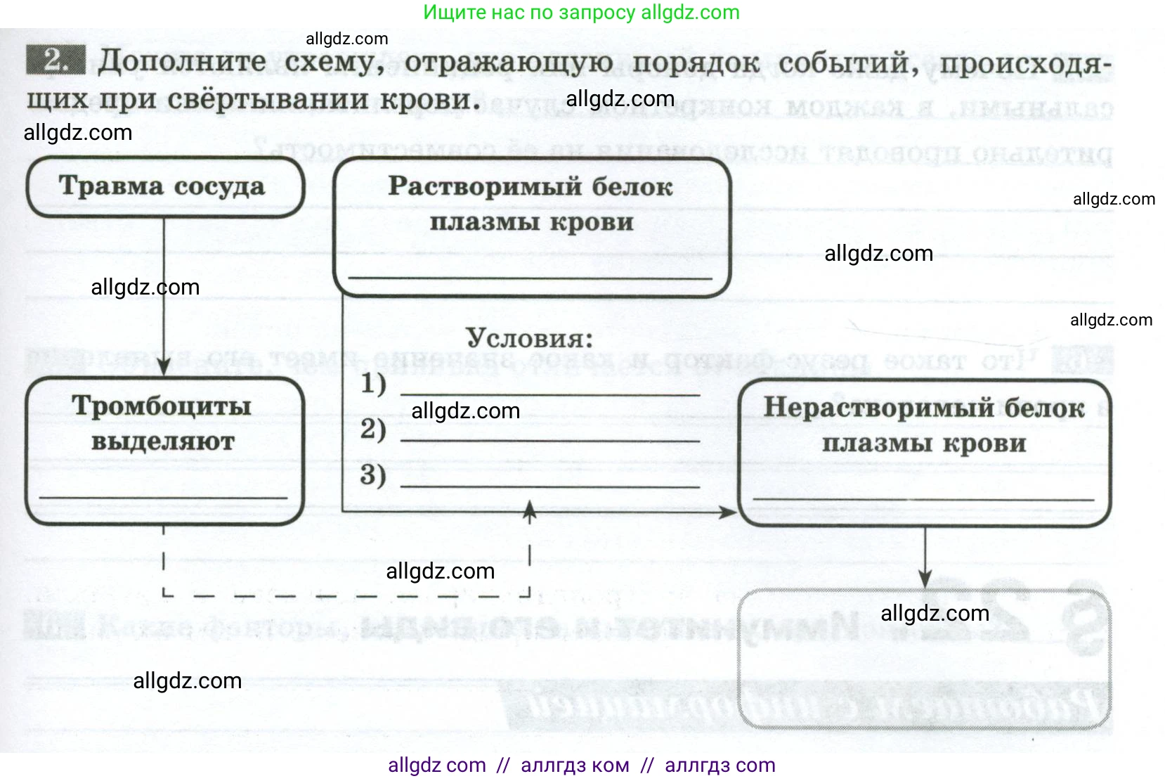 Биология, 9 класс рабочая тетрадь, авторы: Пасечник Владимир Васильевич, Швецов Глеб Геннадьевич, издательство Просвещение, Москва, 2023, розового цвета, страница 61, номер 2, Условие