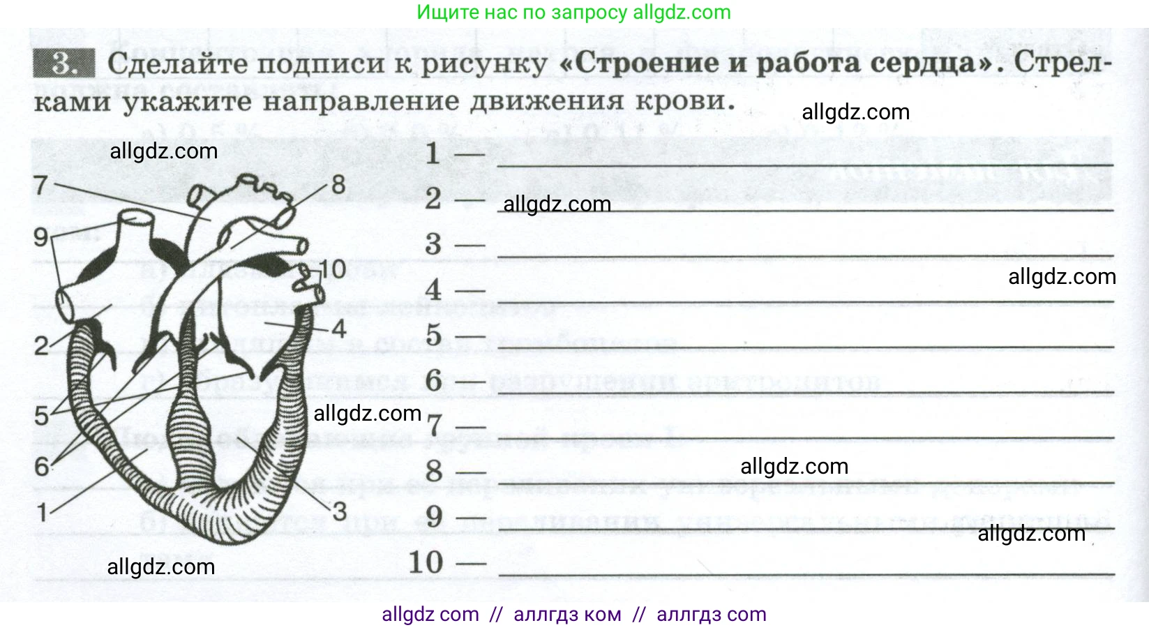 Биология, 9 класс рабочая тетрадь, авторы: Пасечник Владимир Васильевич, Швецов Глеб Геннадьевич, издательство Просвещение, Москва, 2023, розового цвета, страница 66, номер 3, Условие