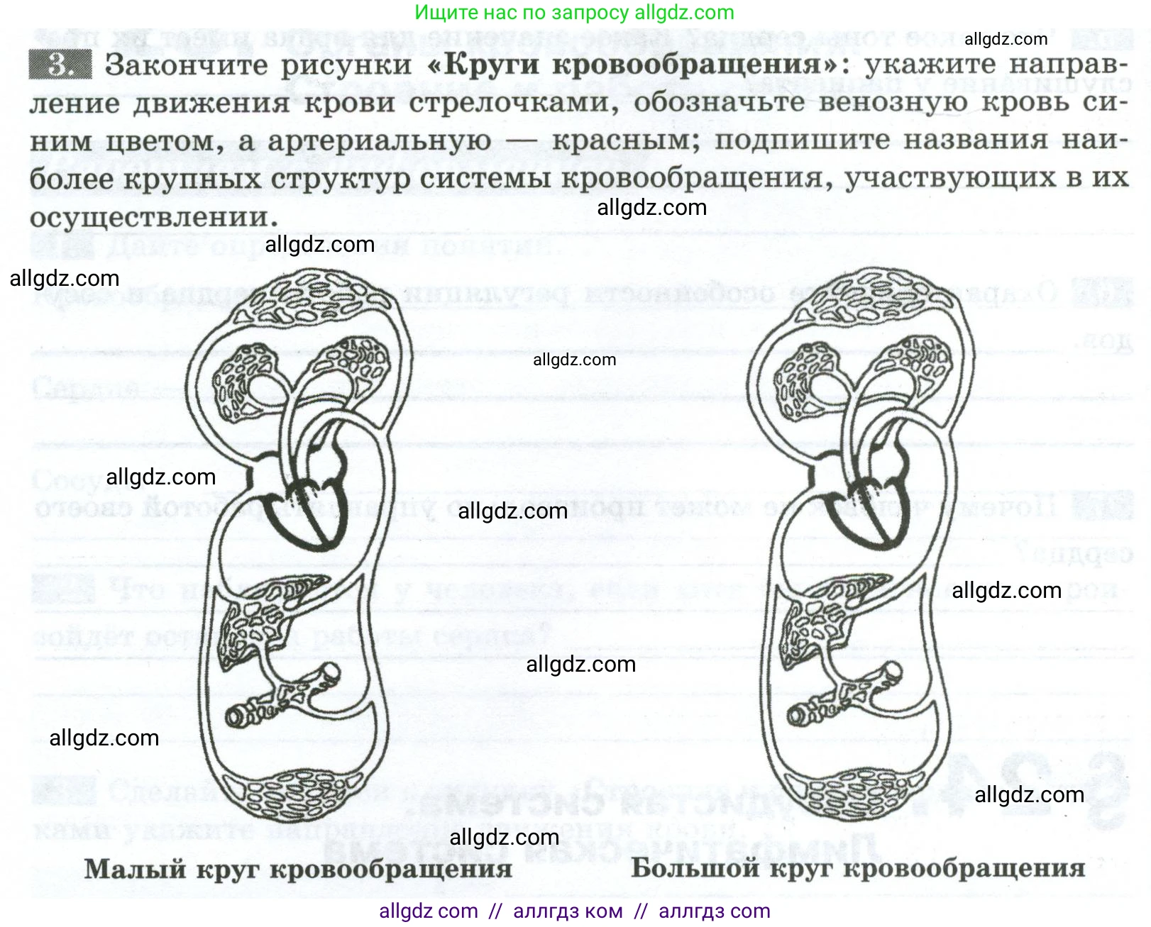 Биология, 9 класс рабочая тетрадь, авторы: Пасечник Владимир Васильевич, Швецов Глеб Геннадьевич, издательство Просвещение, Москва, 2023, розового цвета, страница 68, номер 3, Условие