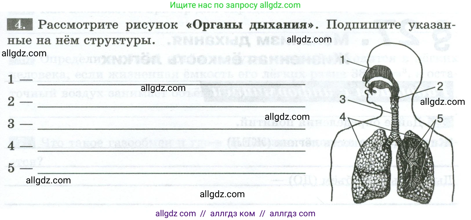 Биология, 9 класс рабочая тетрадь, авторы: Пасечник Владимир Васильевич, Швецов Глеб Геннадьевич, издательство Просвещение, Москва, 2023, розового цвета, страница 75, номер 4, Условие