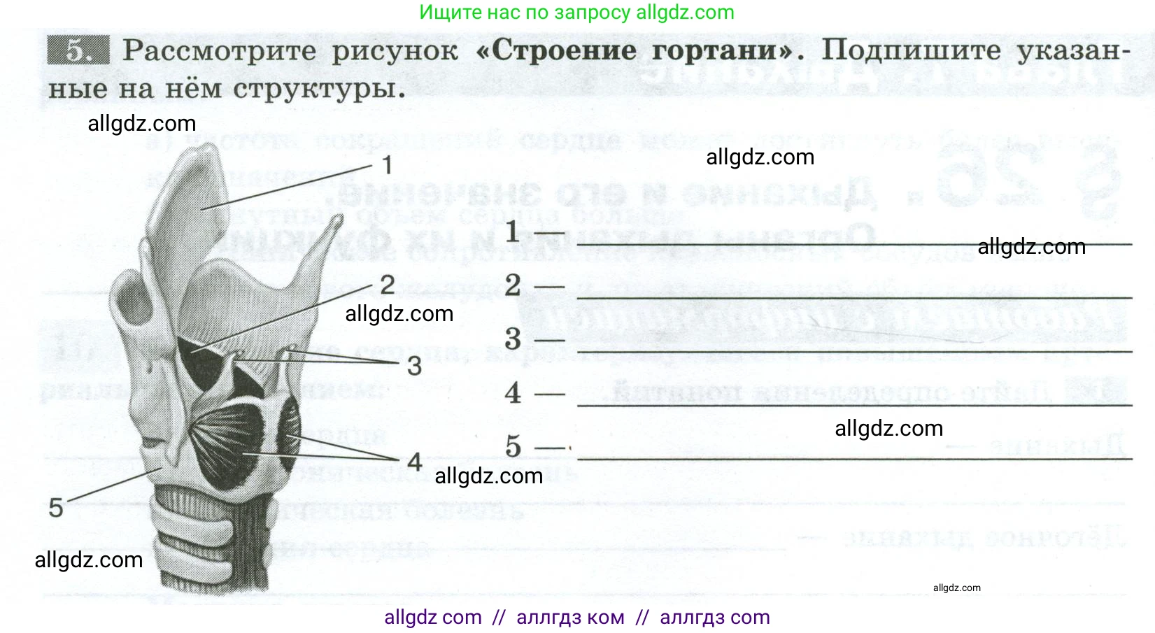 Биология, 9 класс рабочая тетрадь, авторы: Пасечник Владимир Васильевич, Швецов Глеб Геннадьевич, издательство Просвещение, Москва, 2023, розового цвета, страница 76, номер 5, Условие