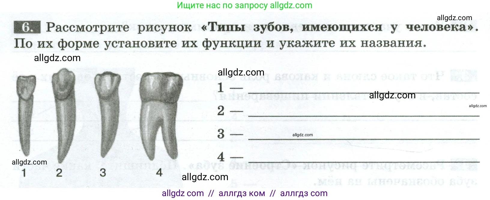 Биология, 9 класс рабочая тетрадь, авторы: Пасечник Владимир Васильевич, Швецов Глеб Геннадьевич, издательство Просвещение, Москва, 2023, розового цвета, страница 86, номер 6, Условие