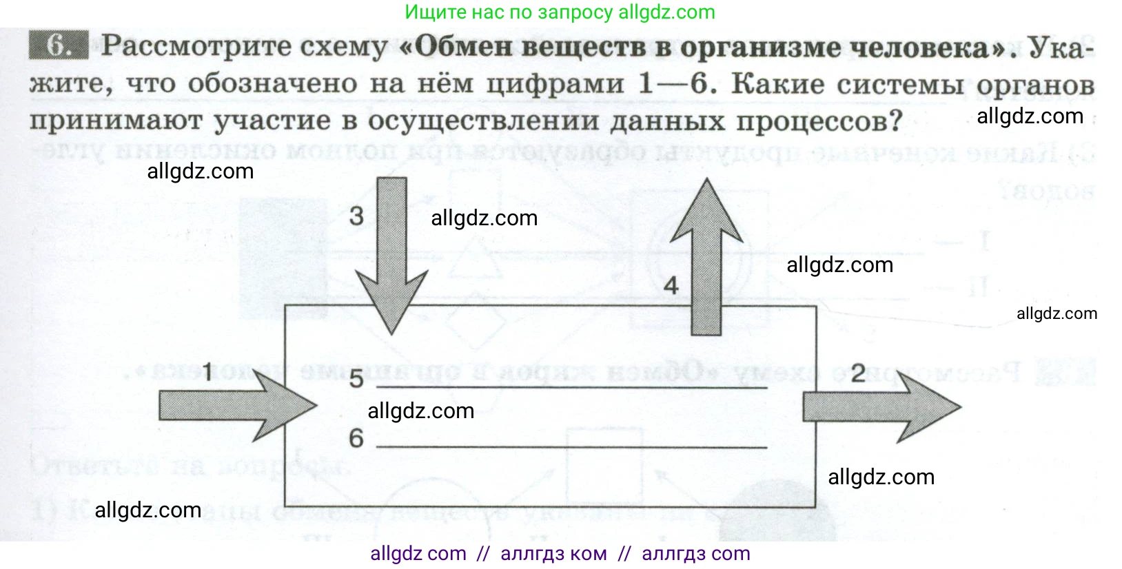 Биология, 9 класс рабочая тетрадь, авторы: Пасечник Владимир Васильевич, Швецов Глеб Геннадьевич, издательство Просвещение, Москва, 2023, розового цвета, страница 99, номер 6, Условие