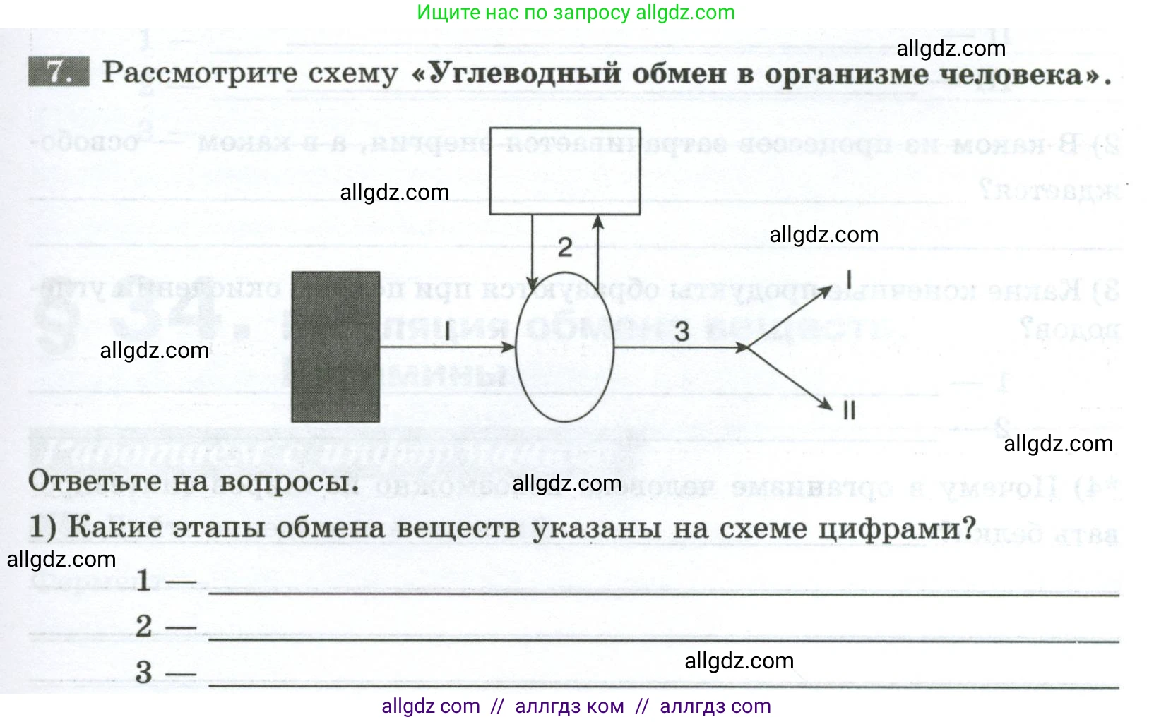 Биология, 9 класс рабочая тетрадь, авторы: Пасечник Владимир Васильевич, Швецов Глеб Геннадьевич, издательство Просвещение, Москва, 2023, розового цвета, страница 99, номер 7, Условие