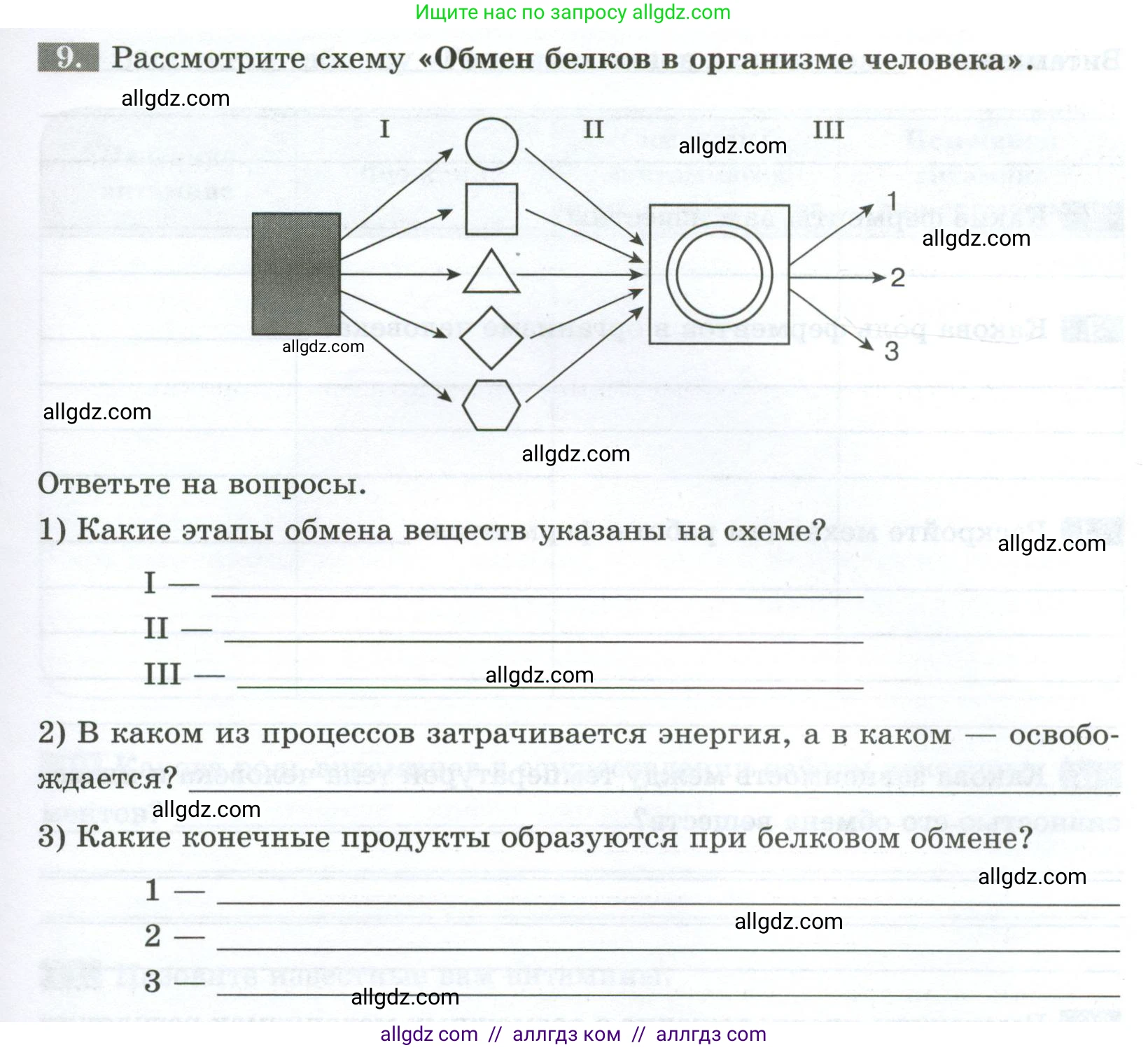 Биология, 9 класс рабочая тетрадь, авторы: Пасечник Владимир Васильевич, Швецов Глеб Геннадьевич, издательство Просвещение, Москва, 2023, розового цвета, страница 101, номер 9, Условие
