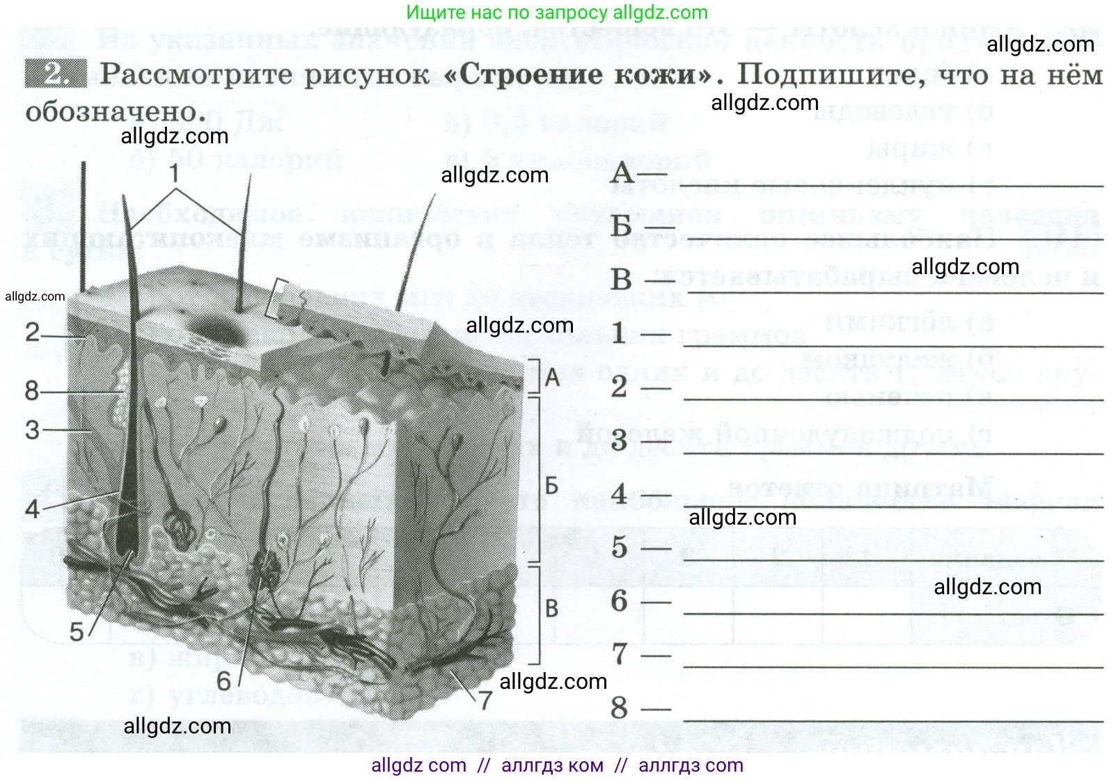 Биология, 9 класс рабочая тетрадь, авторы: Пасечник Владимир Васильевич, Швецов Глеб Геннадьевич, издательство Просвещение, Москва, 2023, розового цвета, страница 108, номер 2, Условие