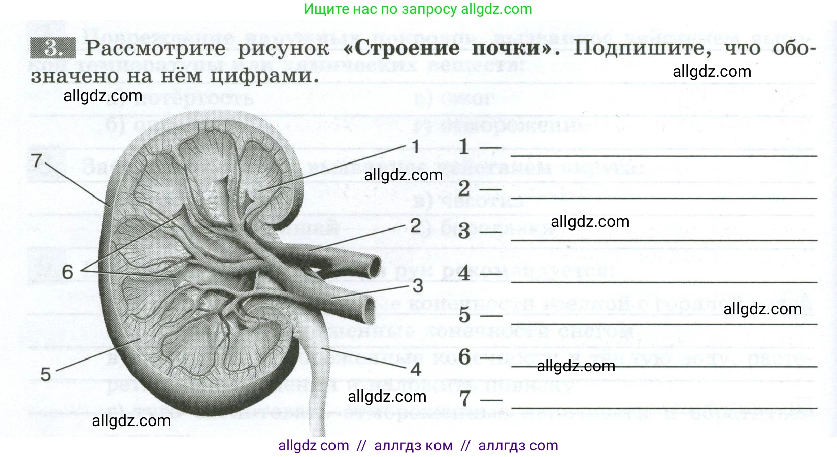 Биология, 9 класс рабочая тетрадь, авторы: Пасечник Владимир Васильевич, Швецов Глеб Геннадьевич, издательство Просвещение, Москва, 2023, розового цвета, страница 116, номер 3, Условие