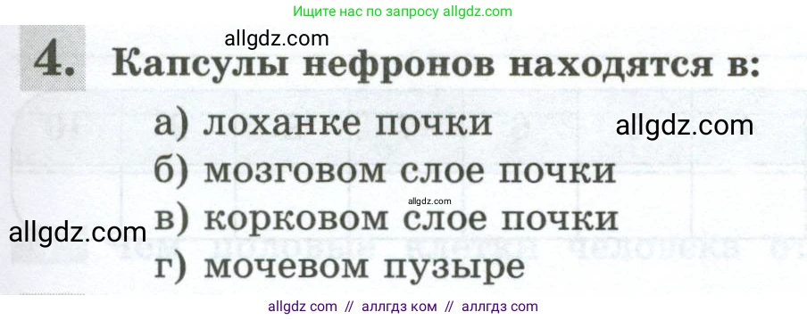 Биология, 9 класс рабочая тетрадь, авторы: Пасечник Владимир Васильевич, Швецов Глеб Геннадьевич, издательство Просвещение, Москва, 2023, розового цвета, страница 119, номер 4, Условие