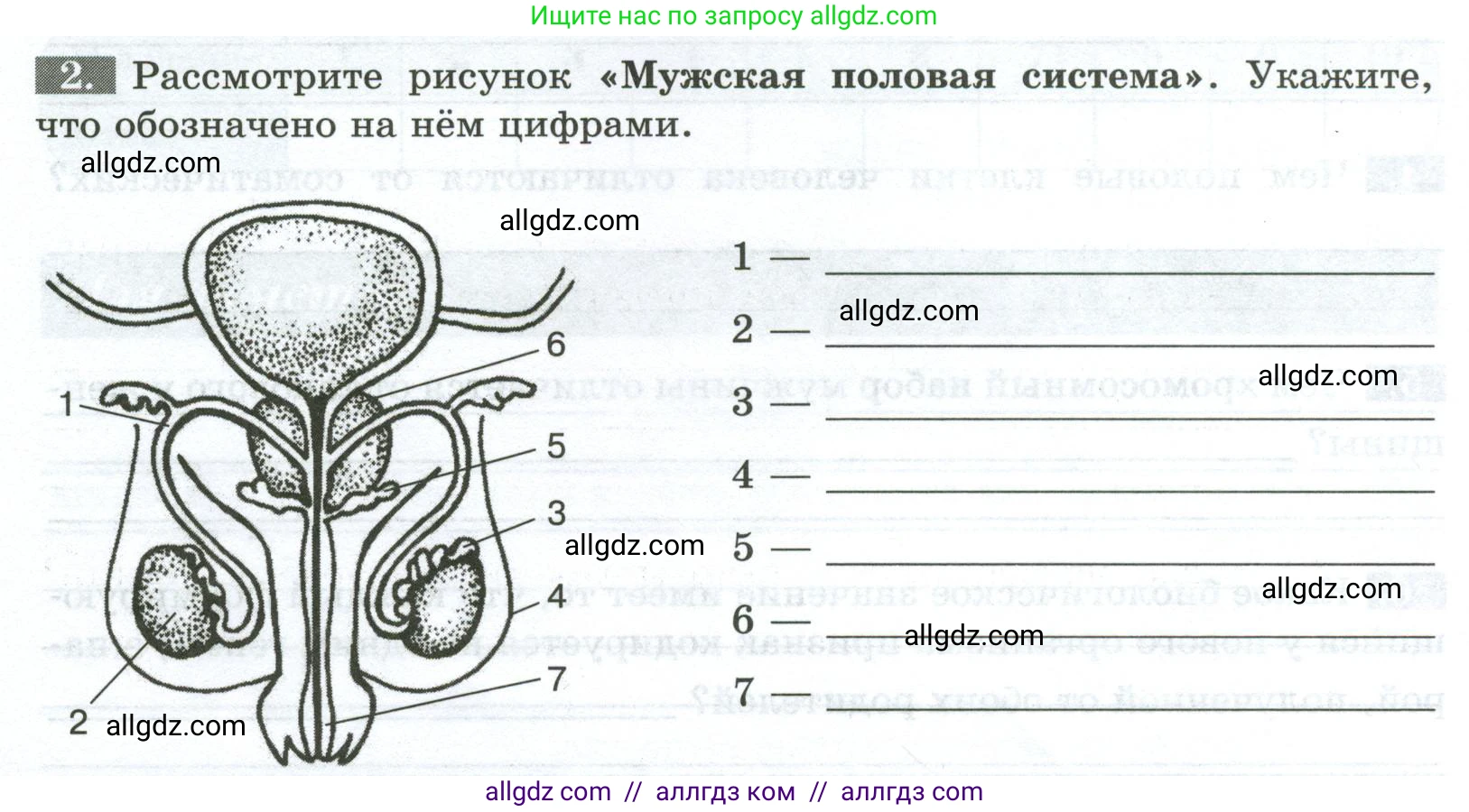 Биология, 9 класс рабочая тетрадь, авторы: Пасечник Владимир Васильевич, Швецов Глеб Геннадьевич, издательство Просвещение, Москва, 2023, розового цвета, страница 122, номер 2, Условие