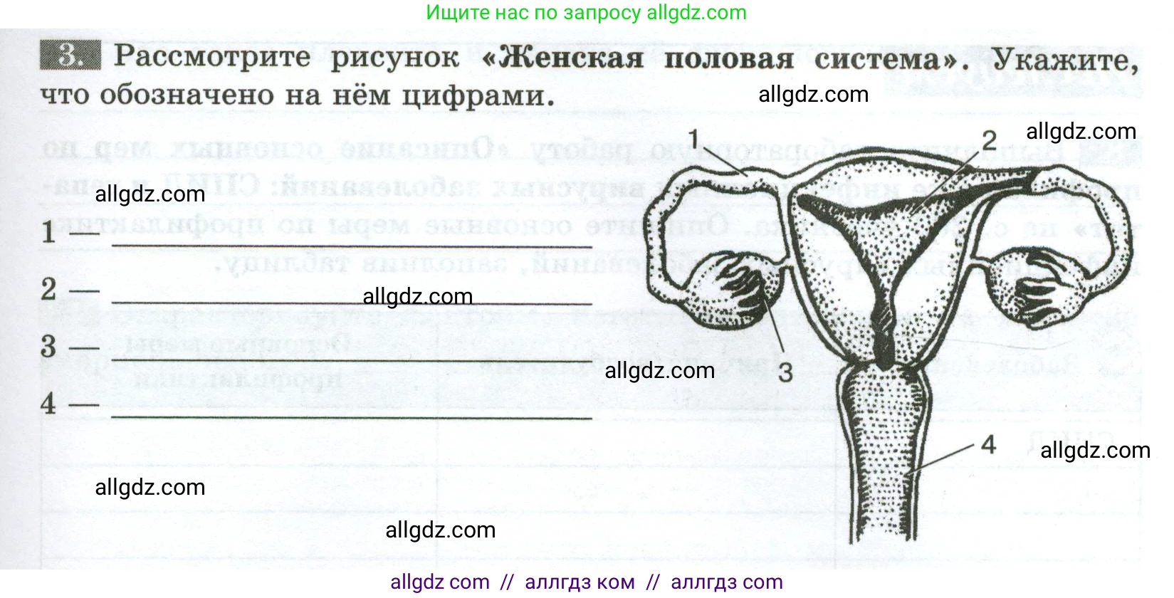 Биология, 9 класс рабочая тетрадь, авторы: Пасечник Владимир Васильевич, Швецов Глеб Геннадьевич, издательство Просвещение, Москва, 2023, розового цвета, страница 123, номер 3, Условие