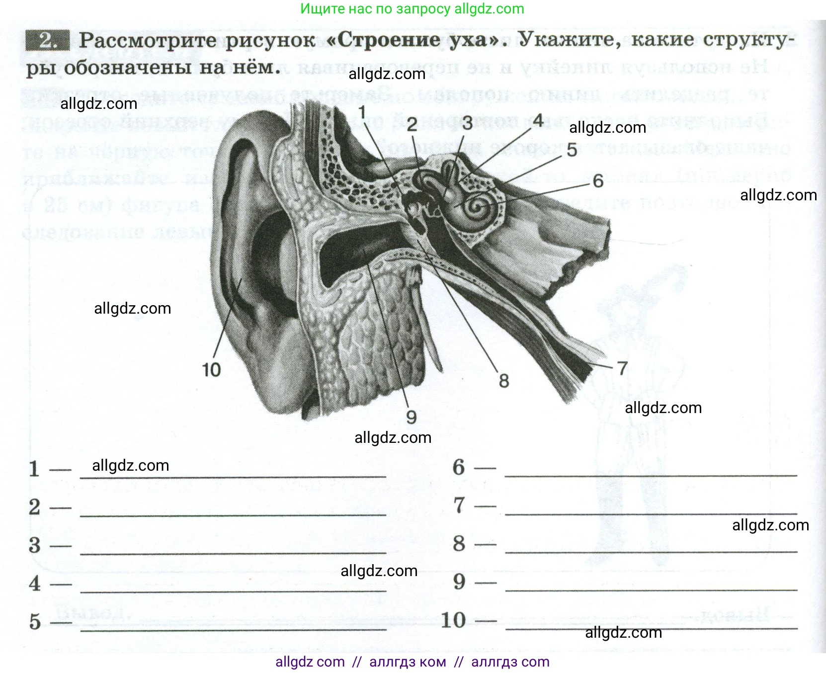 Биология, 9 класс рабочая тетрадь, авторы: Пасечник Владимир Васильевич, Швецов Глеб Геннадьевич, издательство Просвещение, Москва, 2023, розового цвета, страница 134, номер 2, Условие
