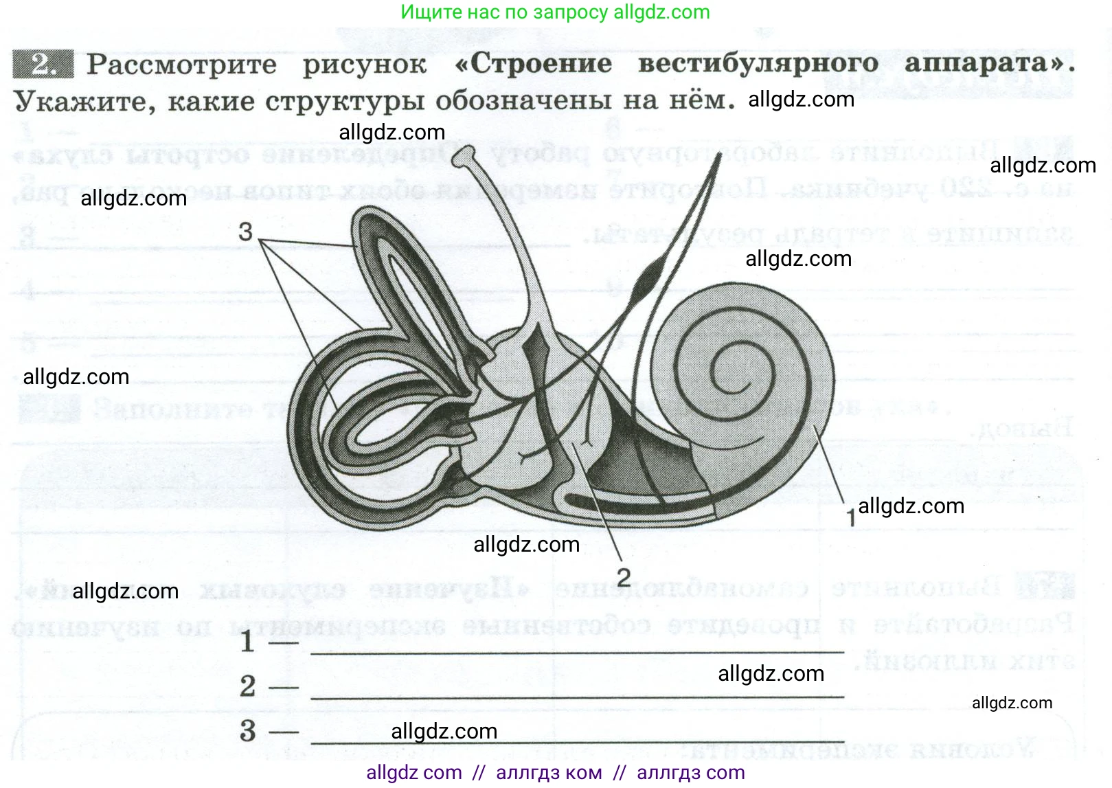 Биология, 9 класс рабочая тетрадь, авторы: Пасечник Владимир Васильевич, Швецов Глеб Геннадьевич, издательство Просвещение, Москва, 2023, розового цвета, страница 136, номер 2, Условие