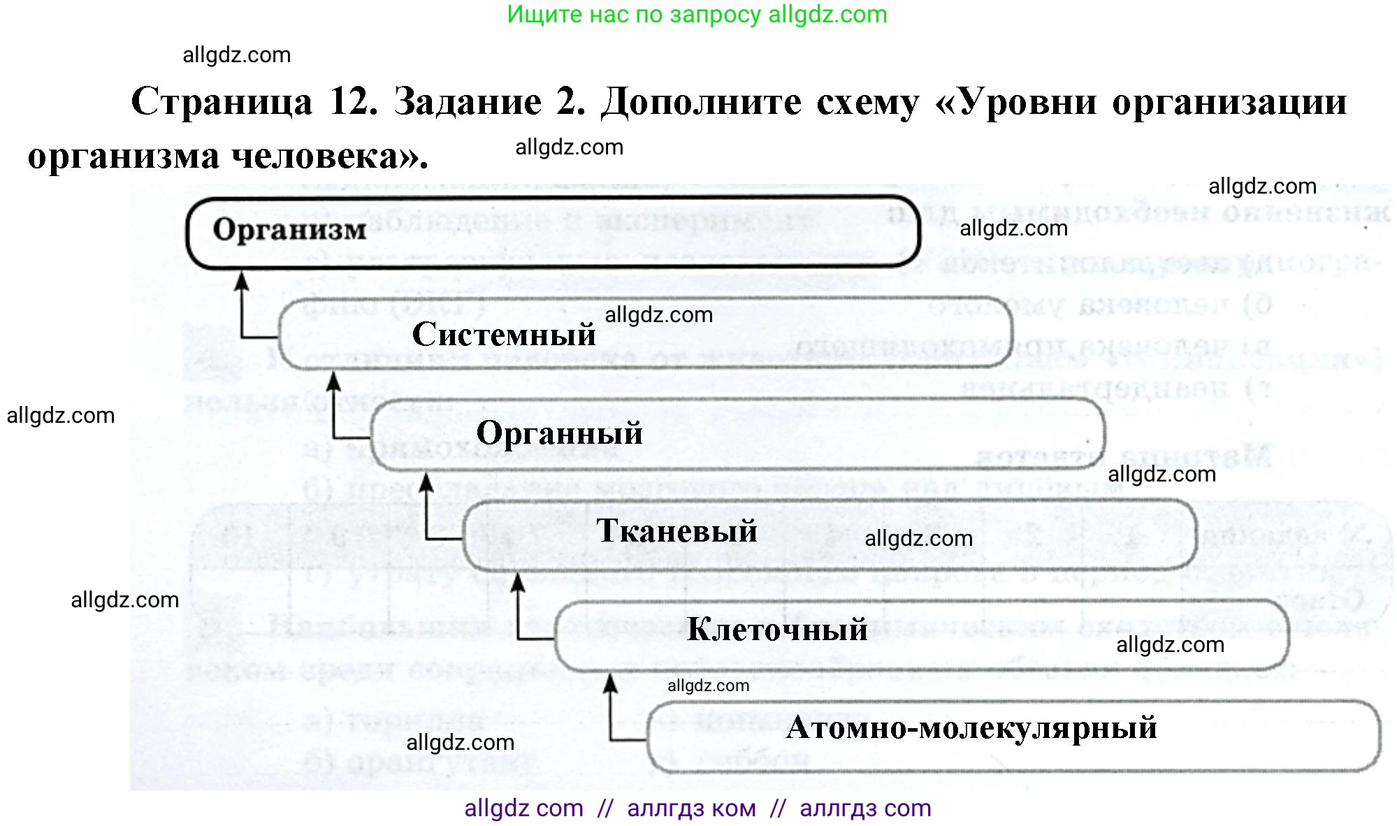 Биология, 9 класс рабочая тетрадь, авторы: Пасечник Владимир Васильевич, Швецов Глеб Геннадьевич, издательство Просвещение, Москва, 2023, розового цвета, страница 12, номер 2, Решение