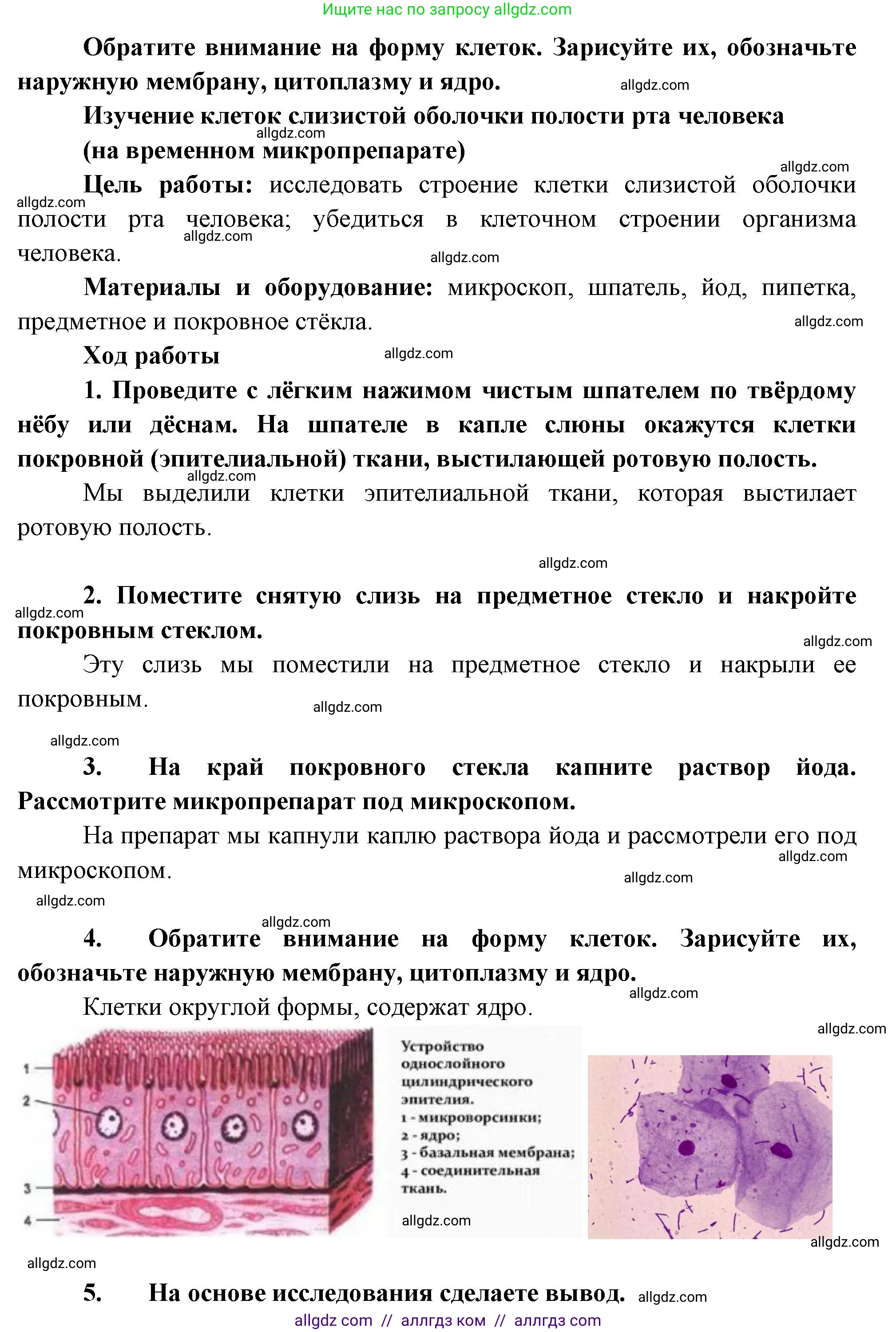 Биология, 9 класс рабочая тетрадь, авторы: Пасечник Владимир Васильевич, Швецов Глеб Геннадьевич, издательство Просвещение, Москва, 2023, розового цвета, страница 14, номер 9, Решение (продолжение 2)