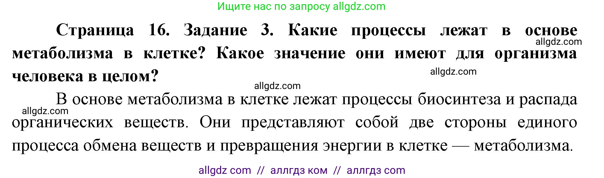 Биология, 9 класс рабочая тетрадь, авторы: Пасечник Владимир Васильевич, Швецов Глеб Геннадьевич, издательство Просвещение, Москва, 2023, розового цвета, страница 16, номер 3, Решение