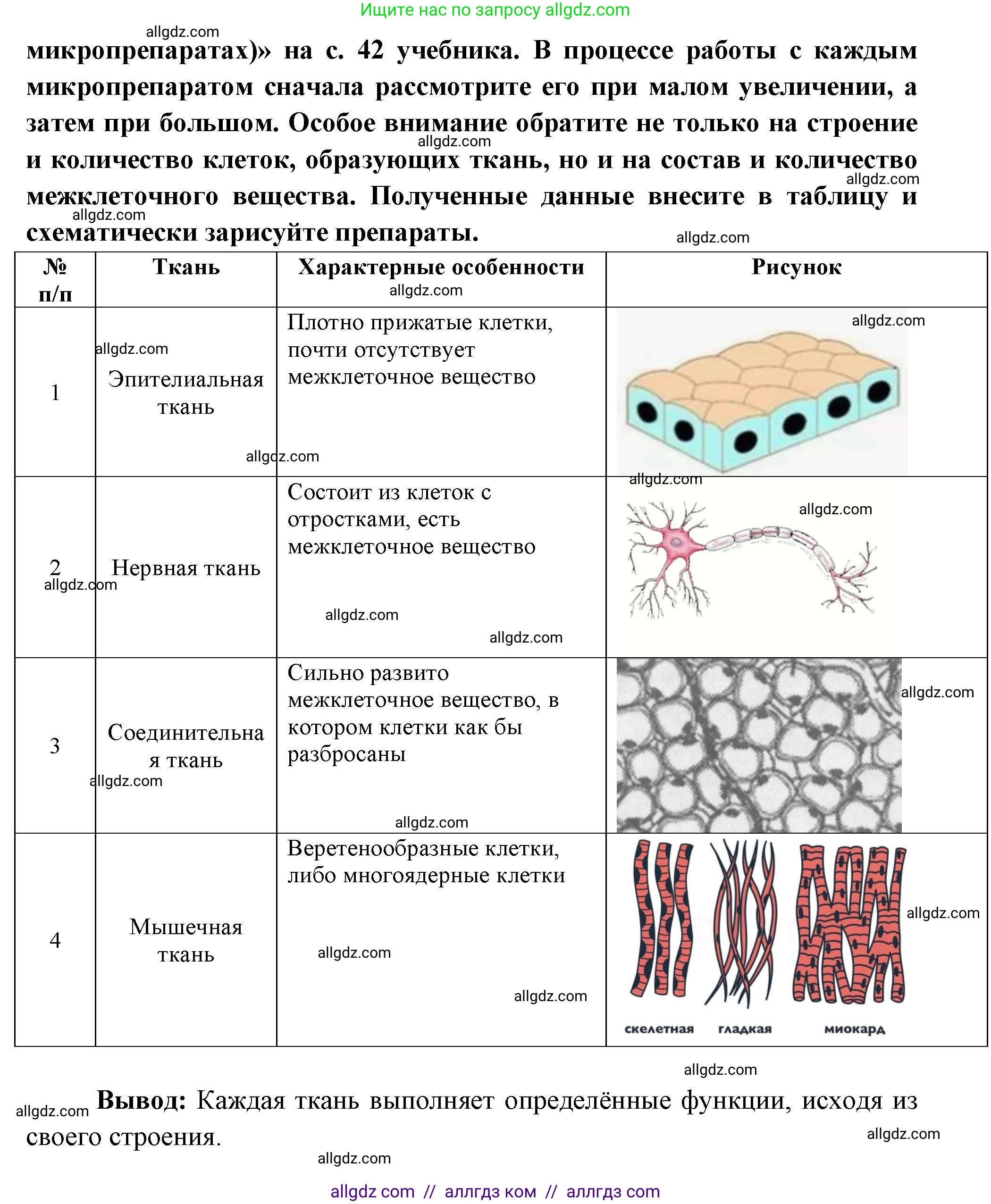 Биология, 9 класс рабочая тетрадь, авторы: Пасечник Владимир Васильевич, Швецов Глеб Геннадьевич, издательство Просвещение, Москва, 2023, розового цвета, страница 21, номер 10, Решение (продолжение 2)