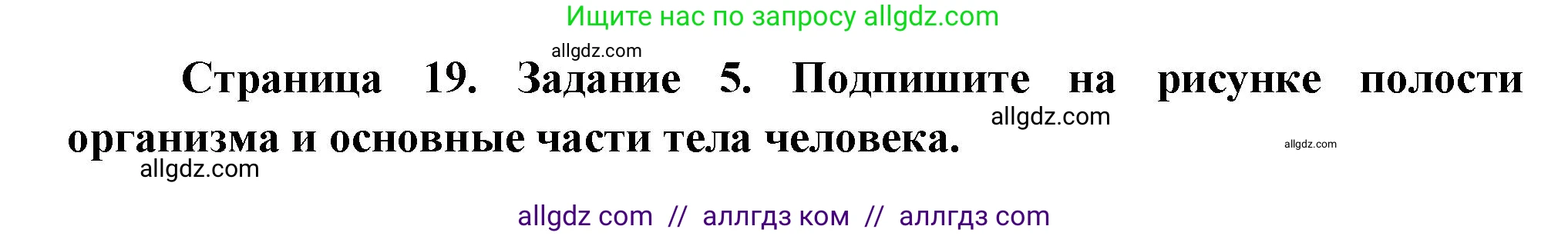Биология, 9 класс рабочая тетрадь, авторы: Пасечник Владимир Васильевич, Швецов Глеб Геннадьевич, издательство Просвещение, Москва, 2023, розового цвета, страница 19, номер 5, Решение