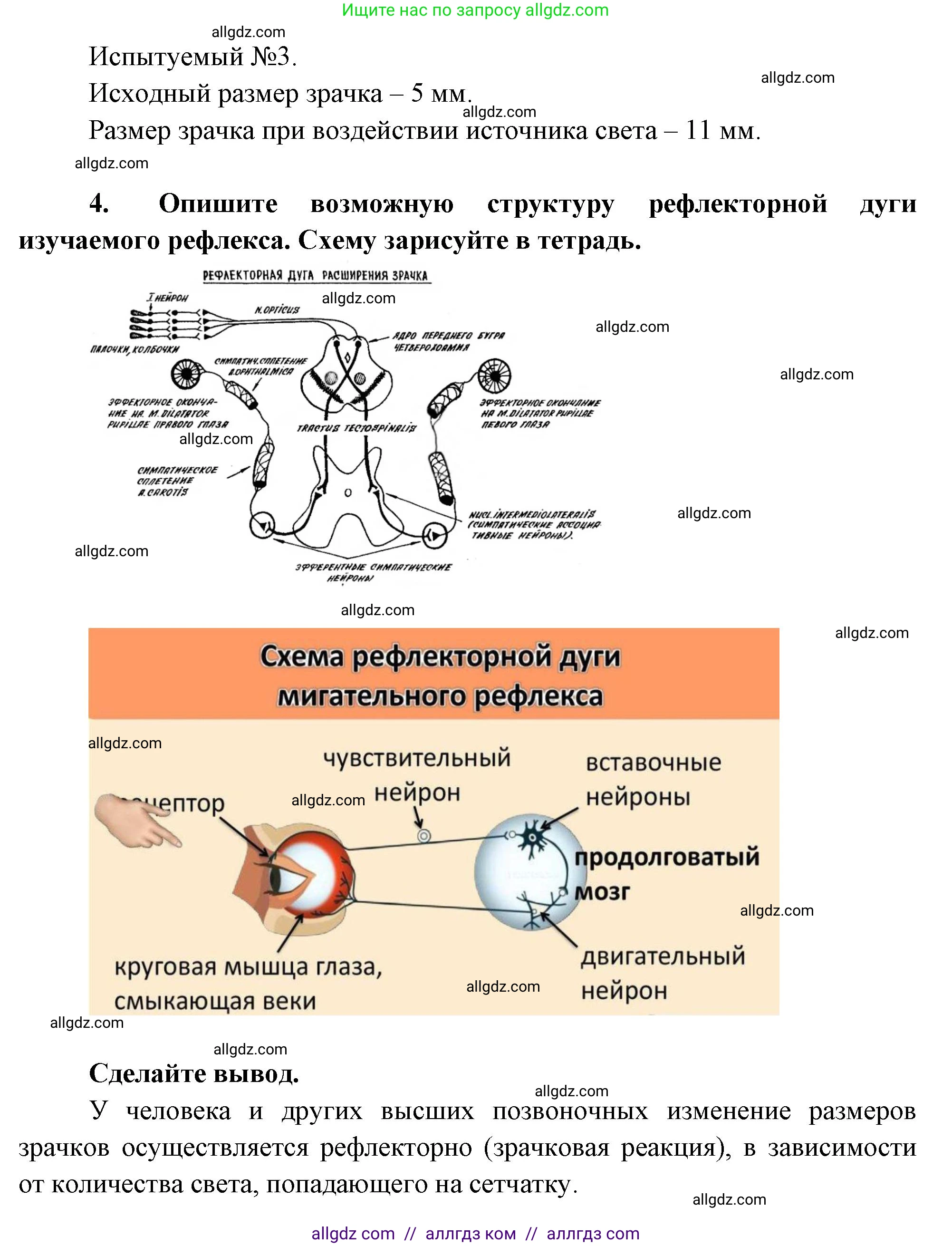 Биология, 9 класс рабочая тетрадь, авторы: Пасечник Владимир Васильевич, Швецов Глеб Геннадьевич, издательство Просвещение, Москва, 2023, розового цвета, страница 27, номер 11, Решение (продолжение 2)