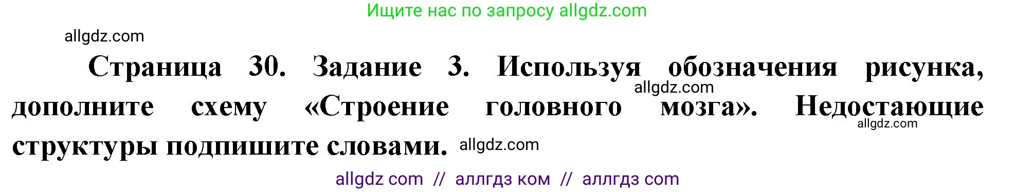 Биология, 9 класс рабочая тетрадь, авторы: Пасечник Владимир Васильевич, Швецов Глеб Геннадьевич, издательство Просвещение, Москва, 2023, розового цвета, страница 30, номер 3, Решение