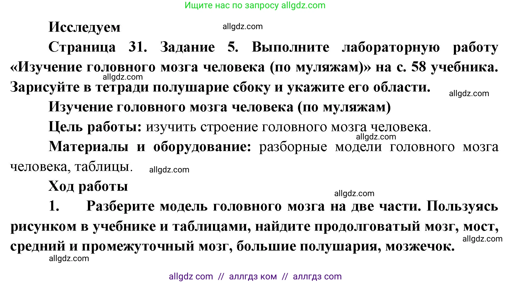 Биология, 9 класс рабочая тетрадь, авторы: Пасечник Владимир Васильевич, Швецов Глеб Геннадьевич, издательство Просвещение, Москва, 2023, розового цвета, страница 31, номер 5, Решение