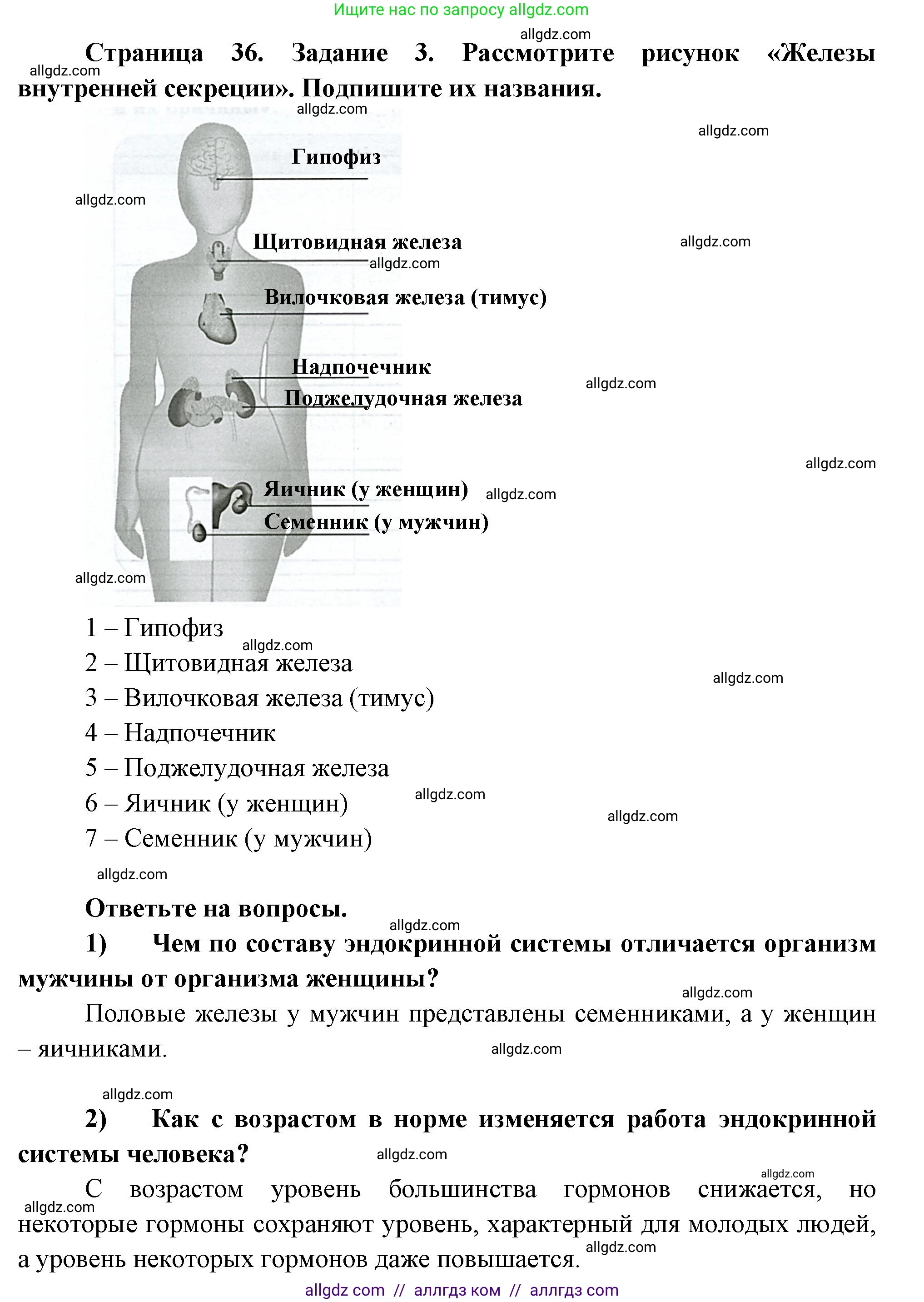 Биология, 9 класс рабочая тетрадь, авторы: Пасечник Владимир Васильевич, Швецов Глеб Геннадьевич, издательство Просвещение, Москва, 2023, розового цвета, страница 36, номер 3, Решение