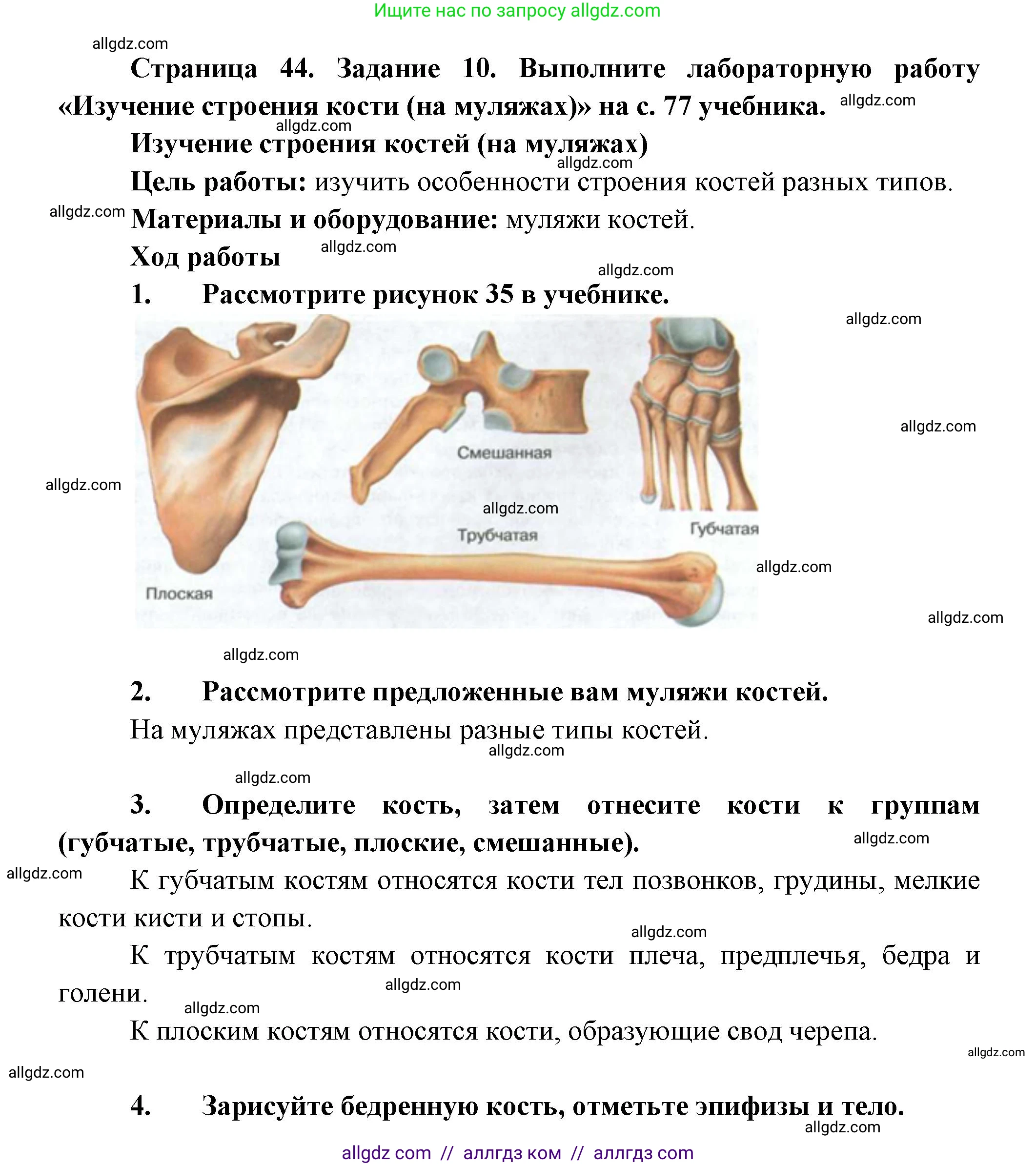 Биология, 9 класс рабочая тетрадь, авторы: Пасечник Владимир Васильевич, Швецов Глеб Геннадьевич, издательство Просвещение, Москва, 2023, розового цвета, страница 44, номер 10, Решение