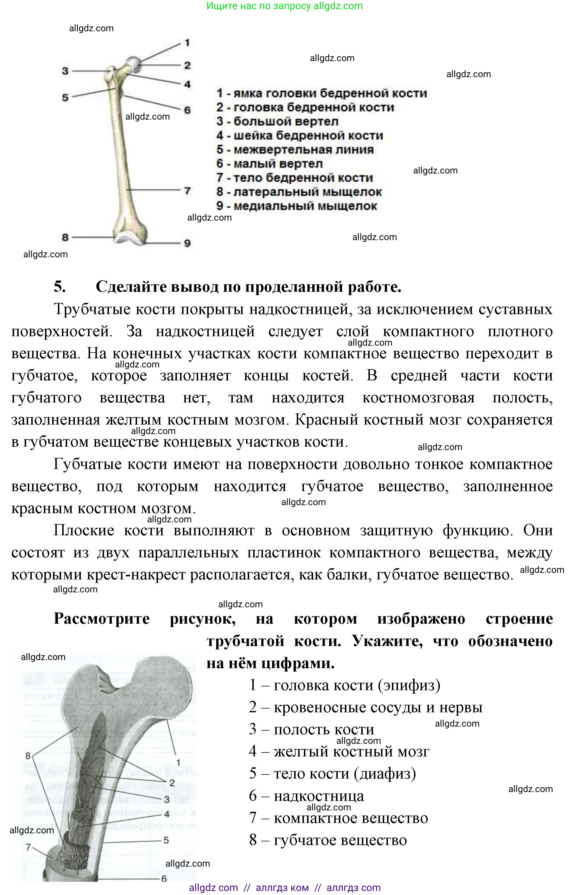 Биология, 9 класс рабочая тетрадь, авторы: Пасечник Владимир Васильевич, Швецов Глеб Геннадьевич, издательство Просвещение, Москва, 2023, розового цвета, страница 44, номер 10, Решение (продолжение 2)