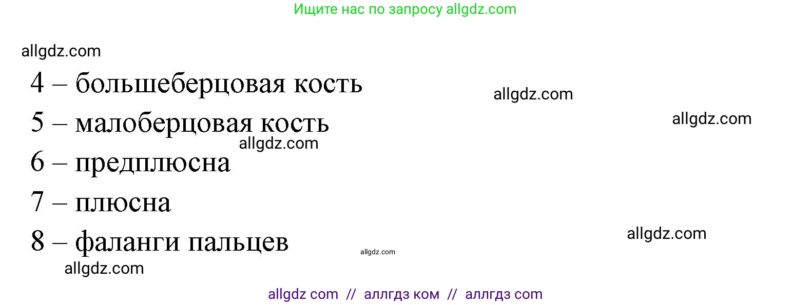 Биология, 9 класс рабочая тетрадь, авторы: Пасечник Владимир Васильевич, Швецов Глеб Геннадьевич, издательство Просвещение, Москва, 2023, розового цвета, страница 47, номер 11, Решение (продолжение 2)