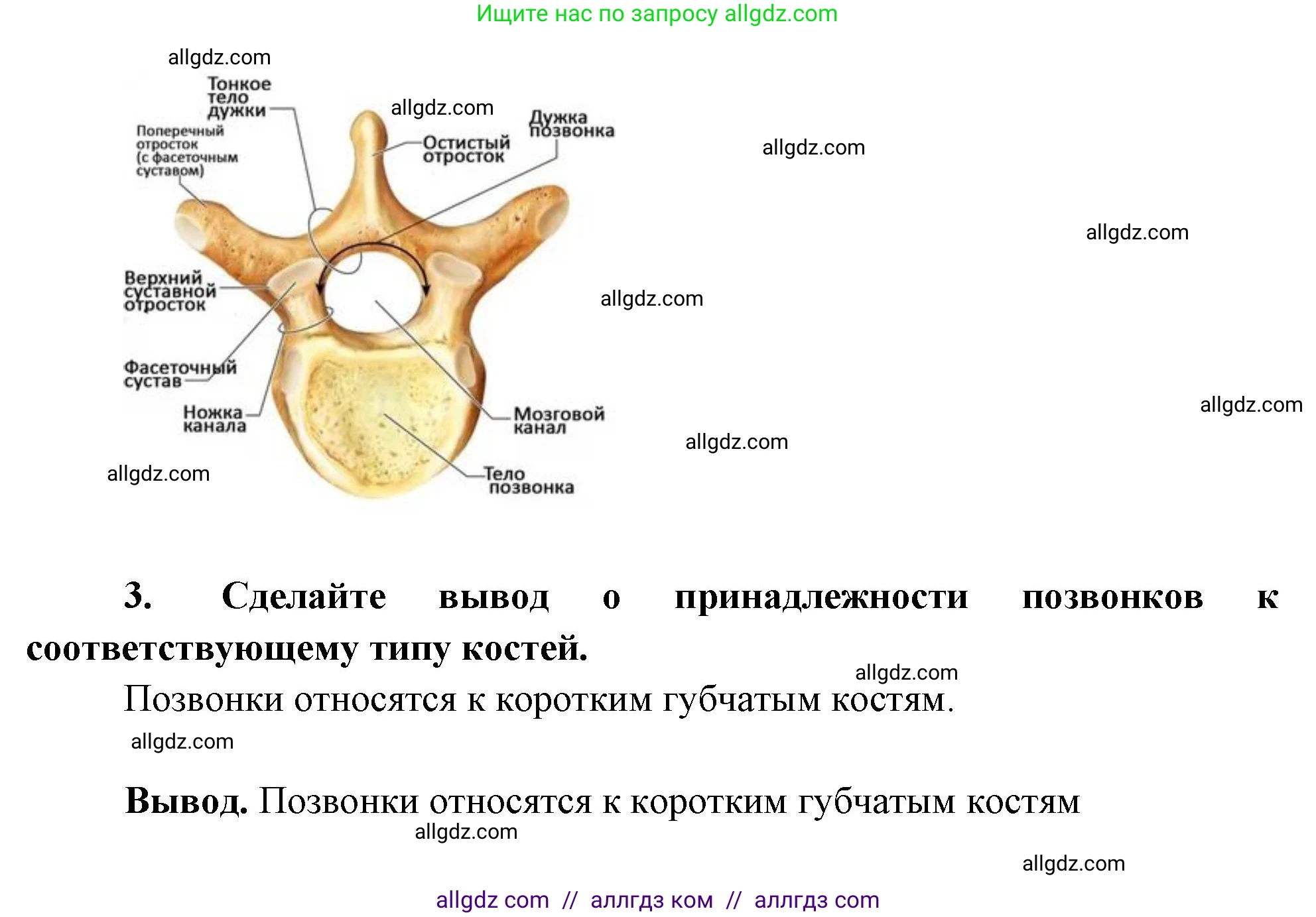 Биология, 9 класс рабочая тетрадь, авторы: Пасечник Владимир Васильевич, Швецов Глеб Геннадьевич, издательство Просвещение, Москва, 2023, розового цвета, страница 47, номер 12, Решение (продолжение 2)