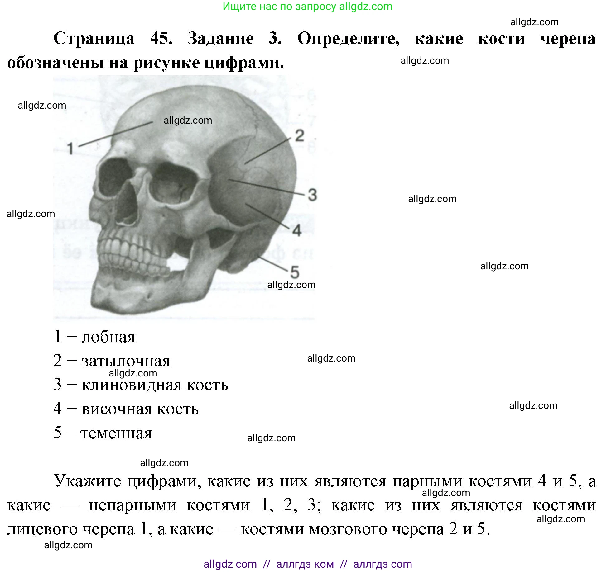 Биология, 9 класс рабочая тетрадь, авторы: Пасечник Владимир Васильевич, Швецов Глеб Геннадьевич, издательство Просвещение, Москва, 2023, розового цвета, страница 45, номер 3, Решение